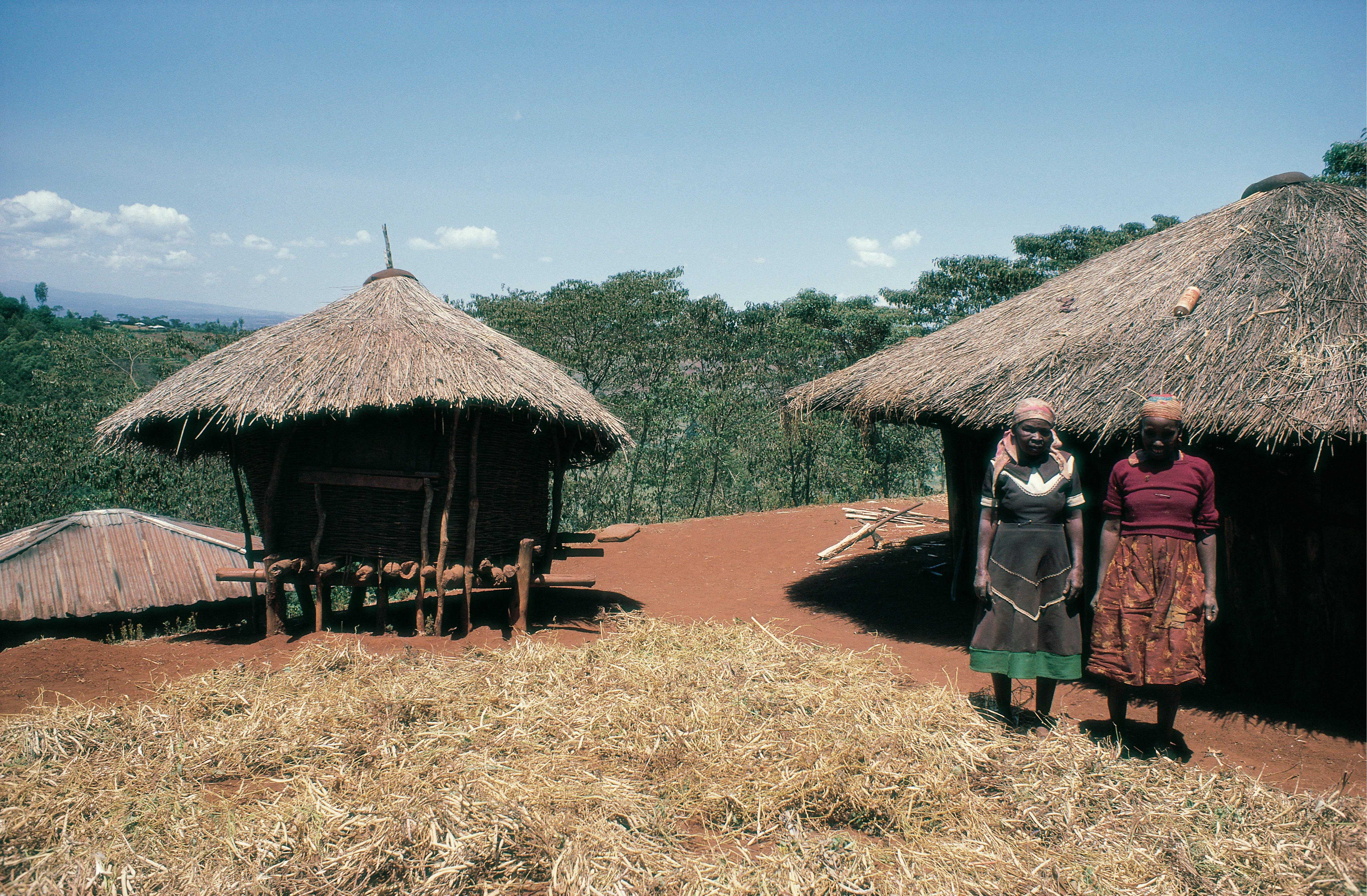 Rural Kenya