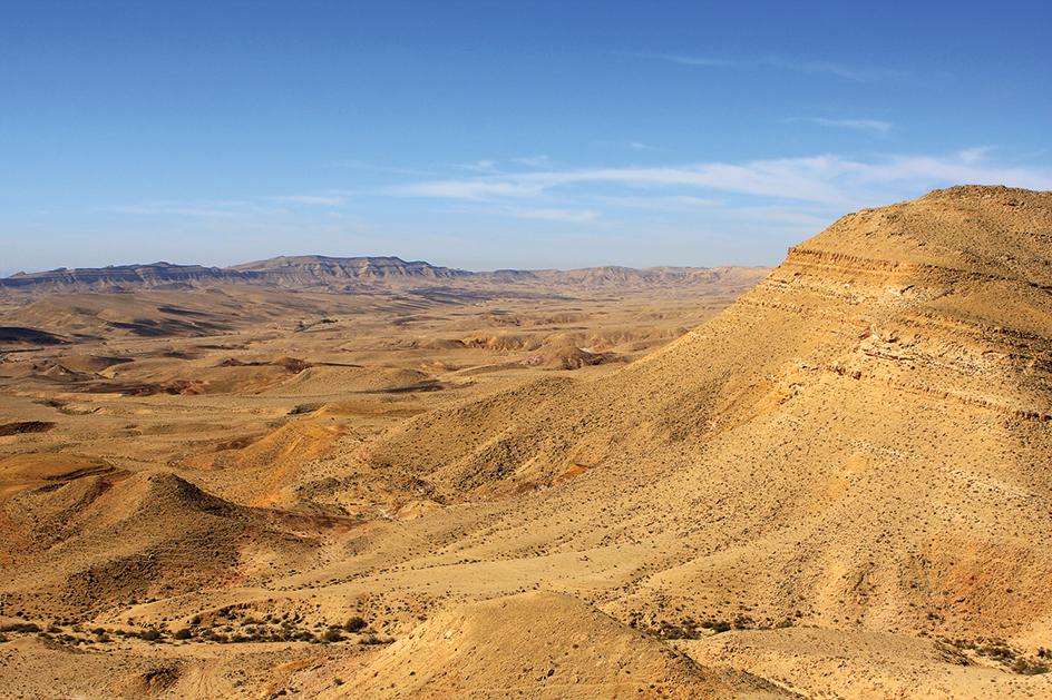 The Negev Desert