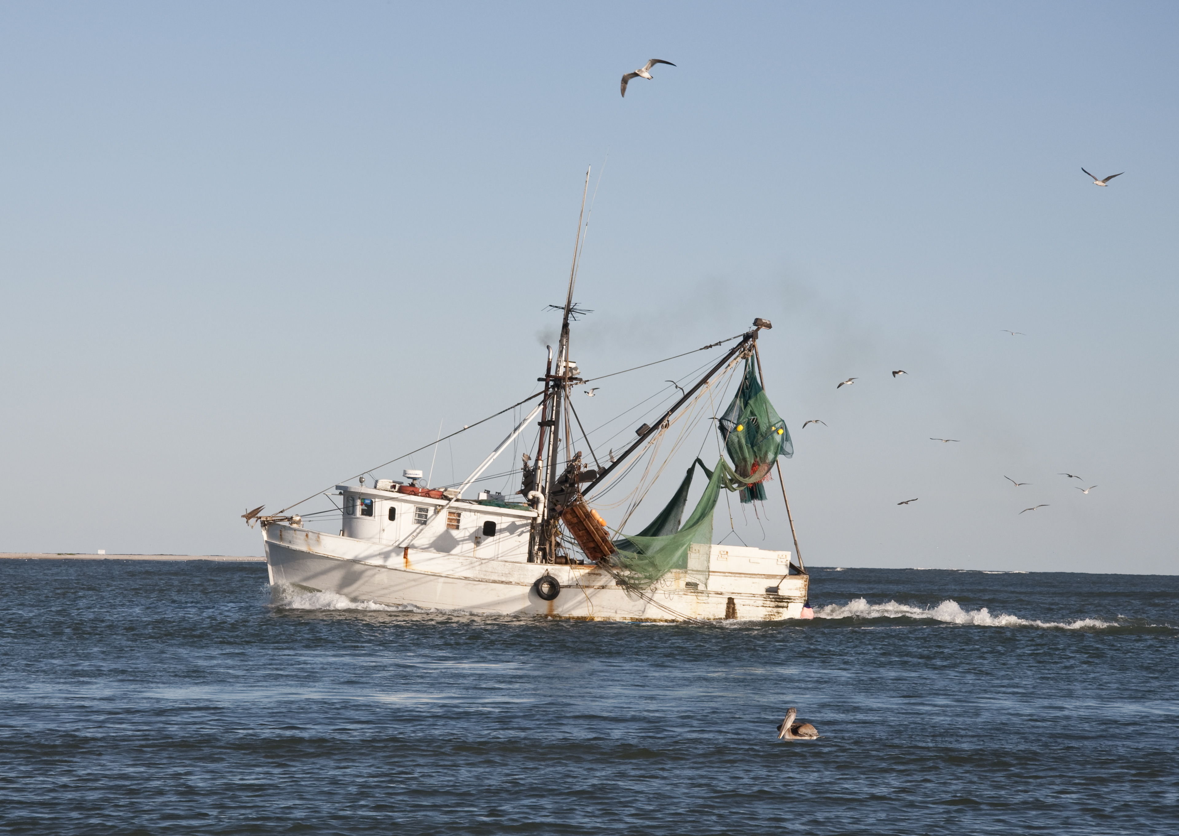 Small shrimp boat