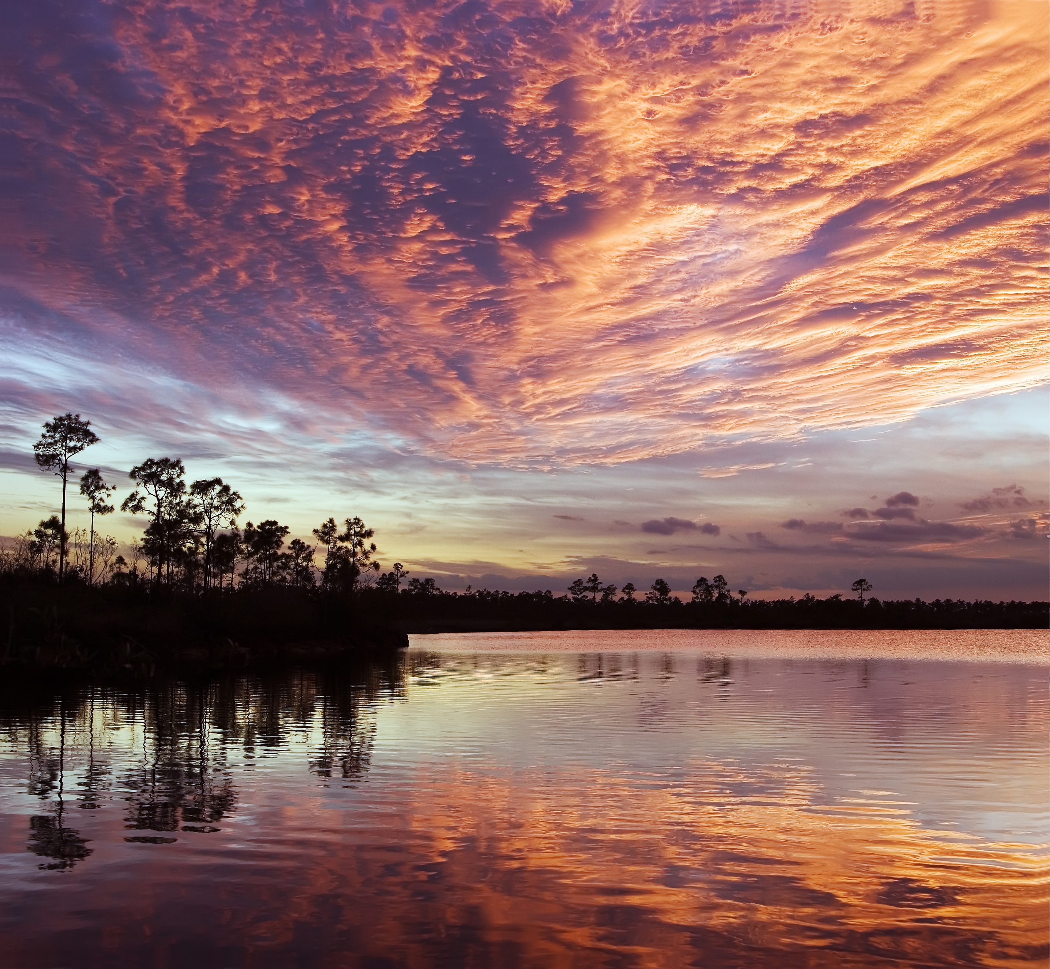 Florida Everglades