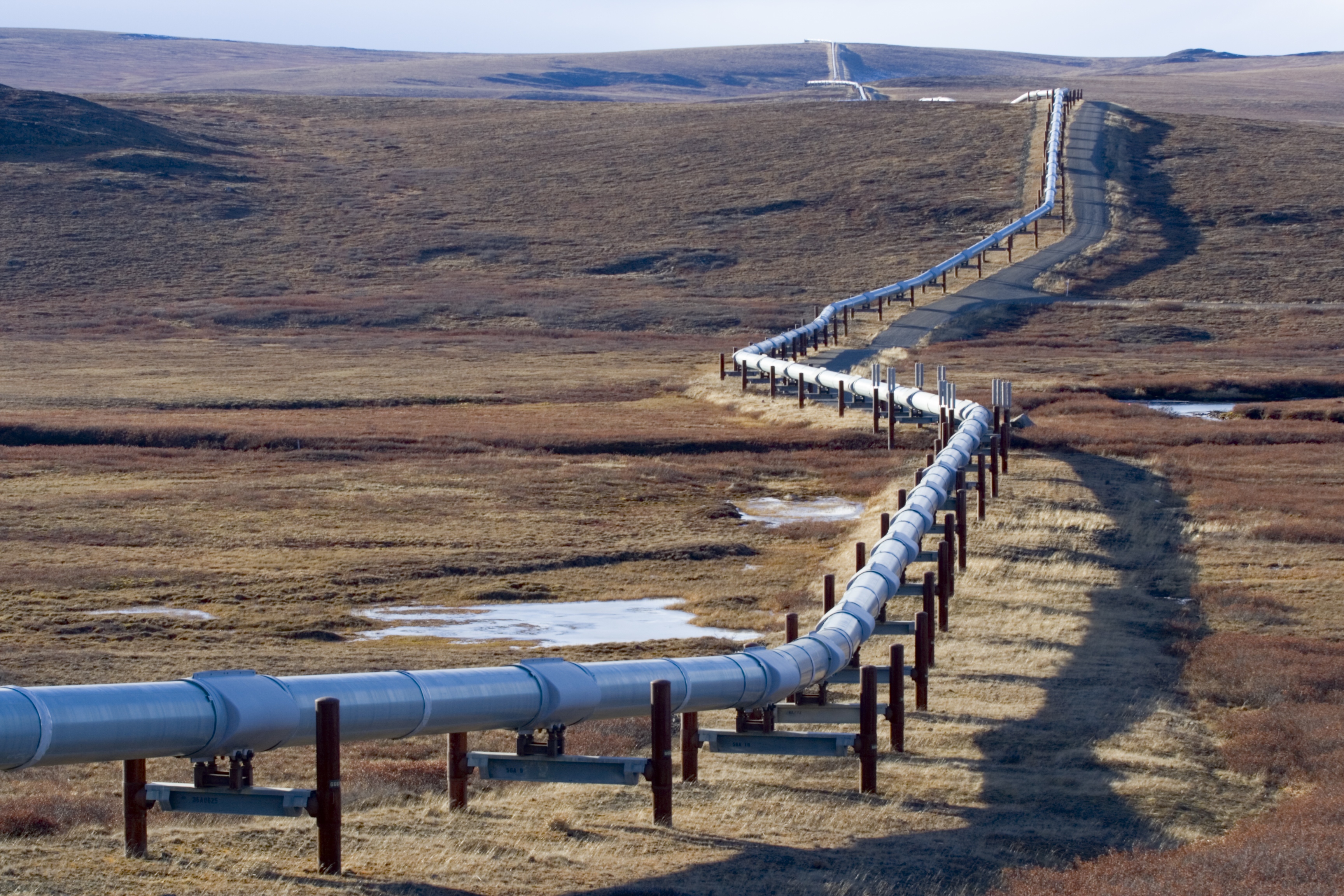 Trans-Alaska Pipeline