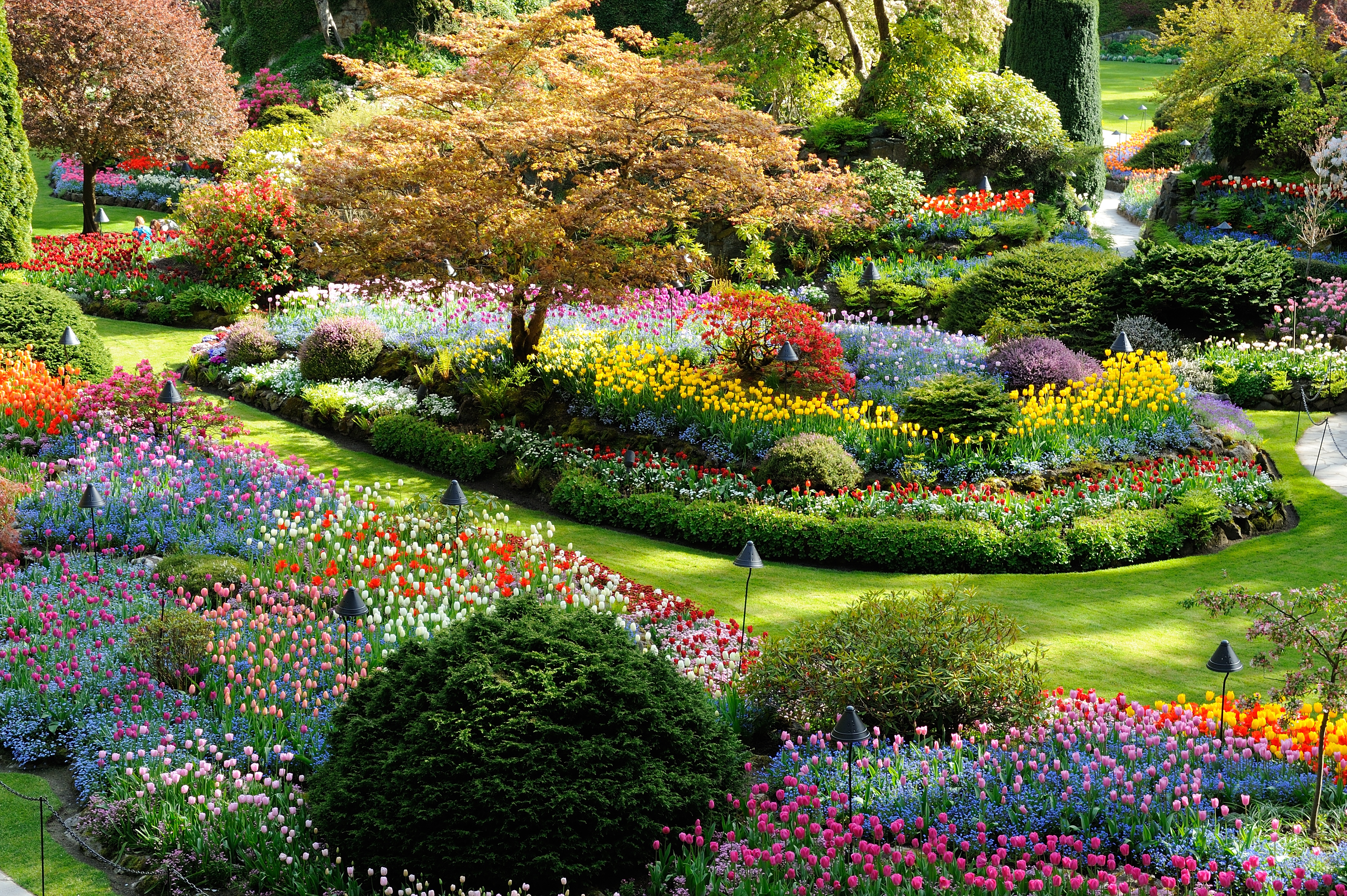 Butchart Gardens in Victoria, British Columbia