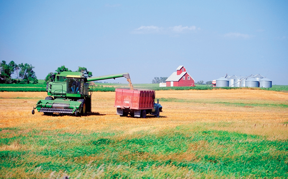 Harvesting wheat in North Dakota