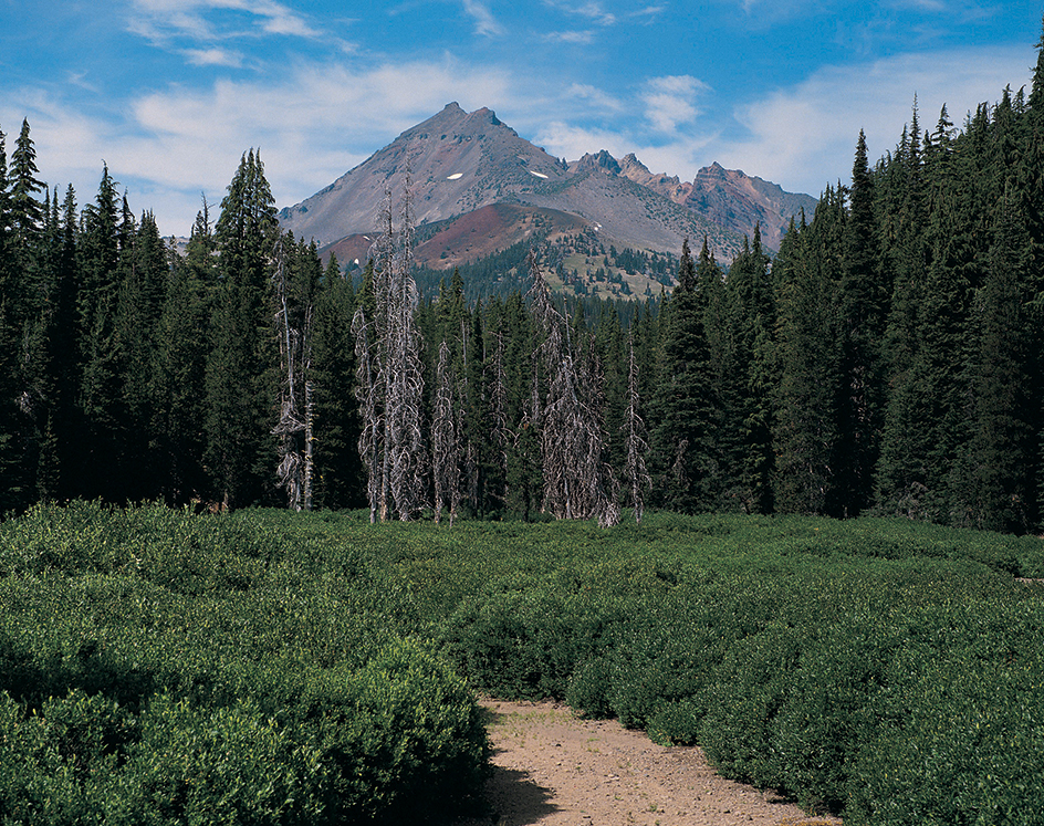 Deschutes National Forest