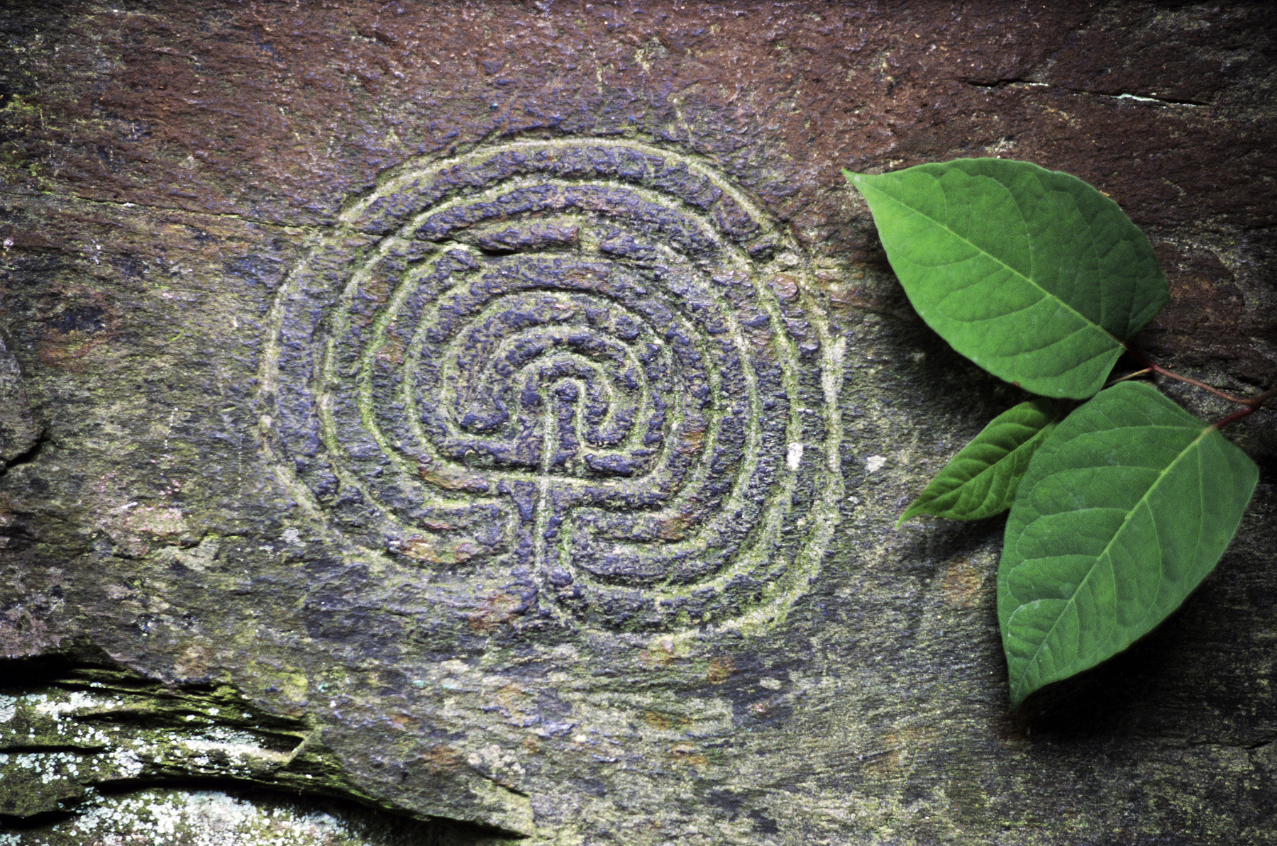 The Cretan labyrinth