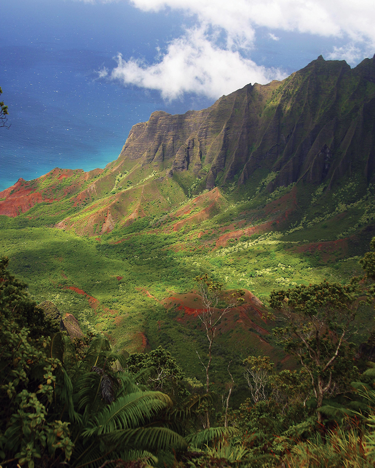 Waimea Canyon