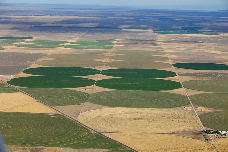 Irrigated fields