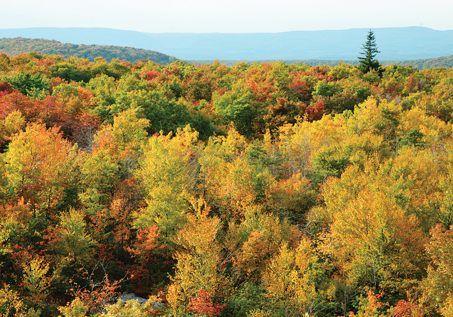 Allegheny Mountains