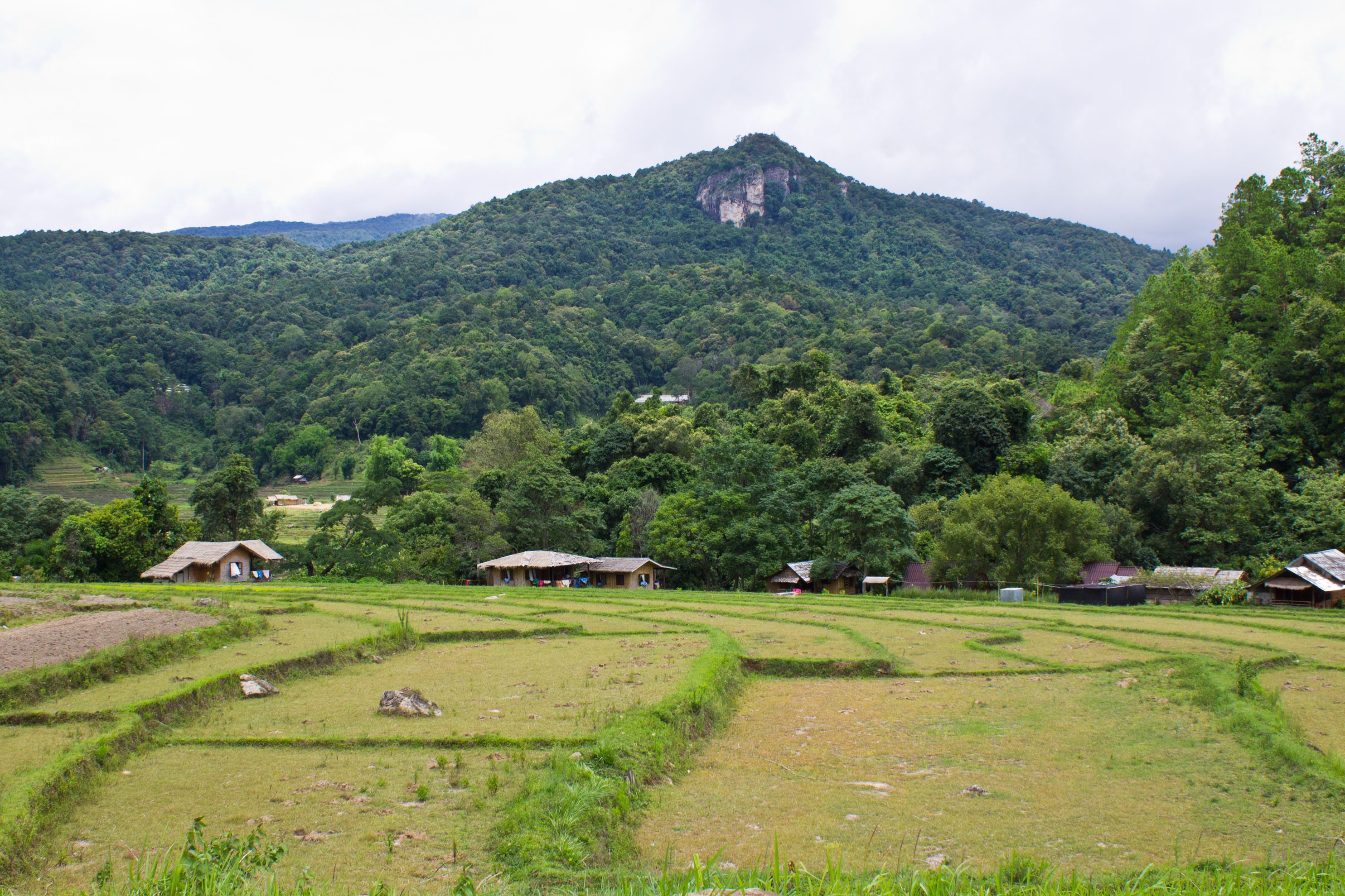 Inthanon Mountain, Thailand's highest peak