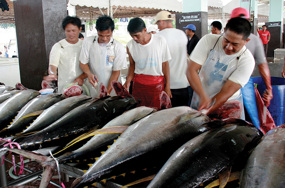 Cleaning and processing tuna