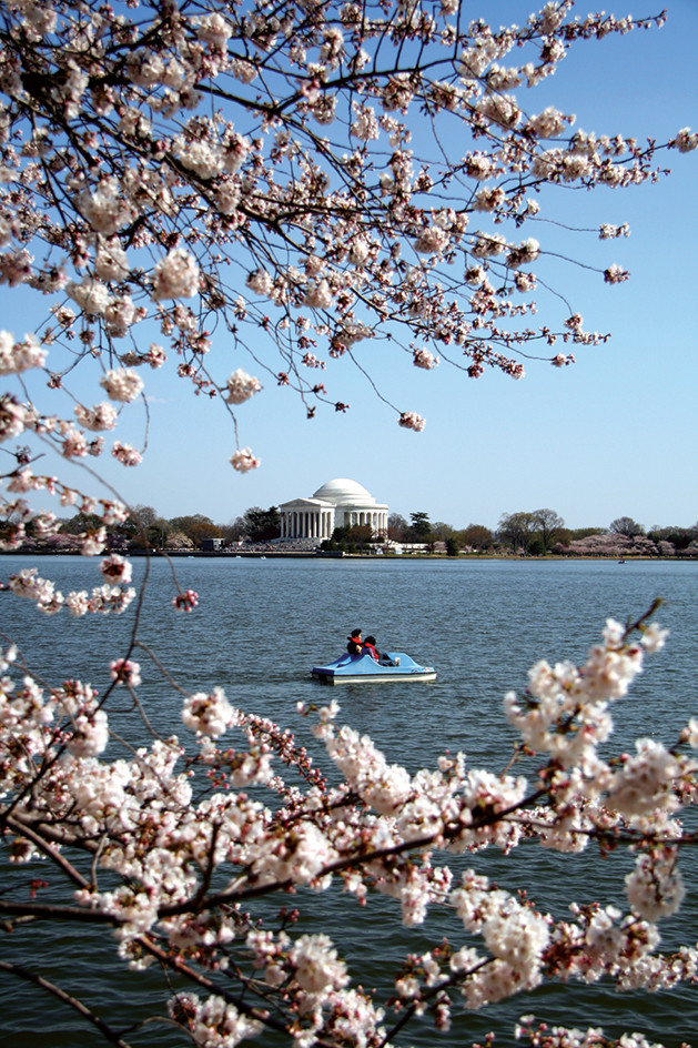 Tidal Basin in Washington, D.C.