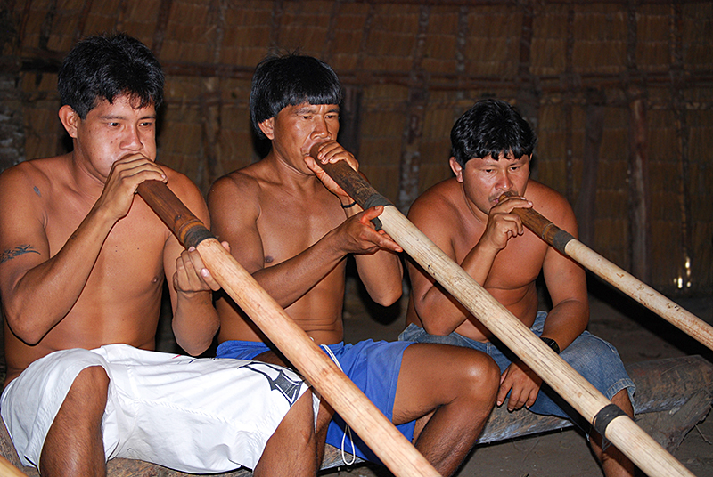 Traditional culture of Tropical Forest peoples