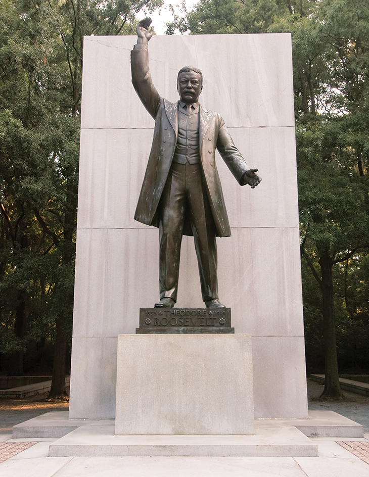 Theodore Roosevelt Island