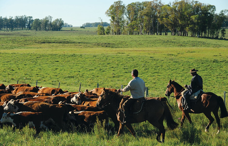 Uruguayan gauchos