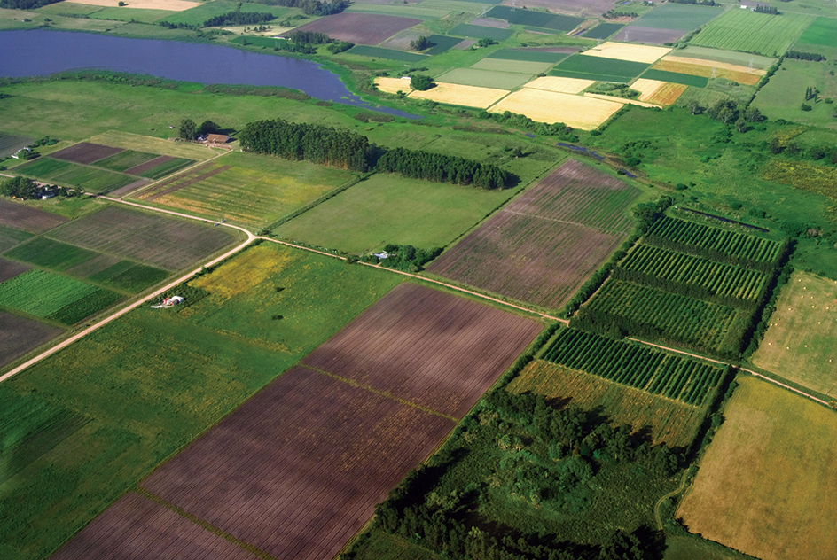 Coastal plains of Uruguay