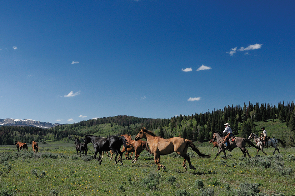 Wyoming dude ranch