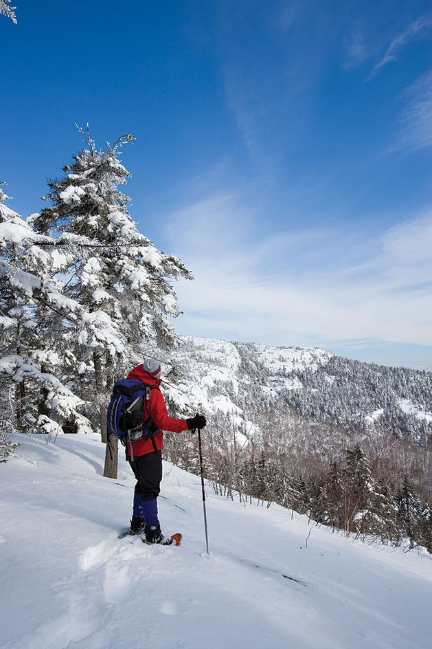 New Hampshire's Mount Cardigan