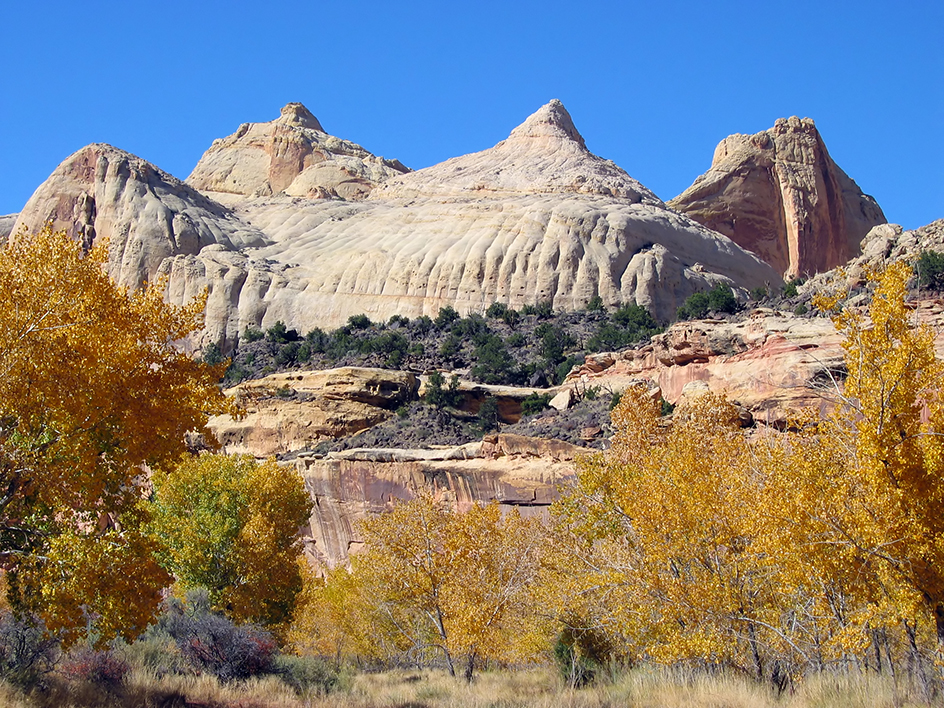 Capitol Reef National Park