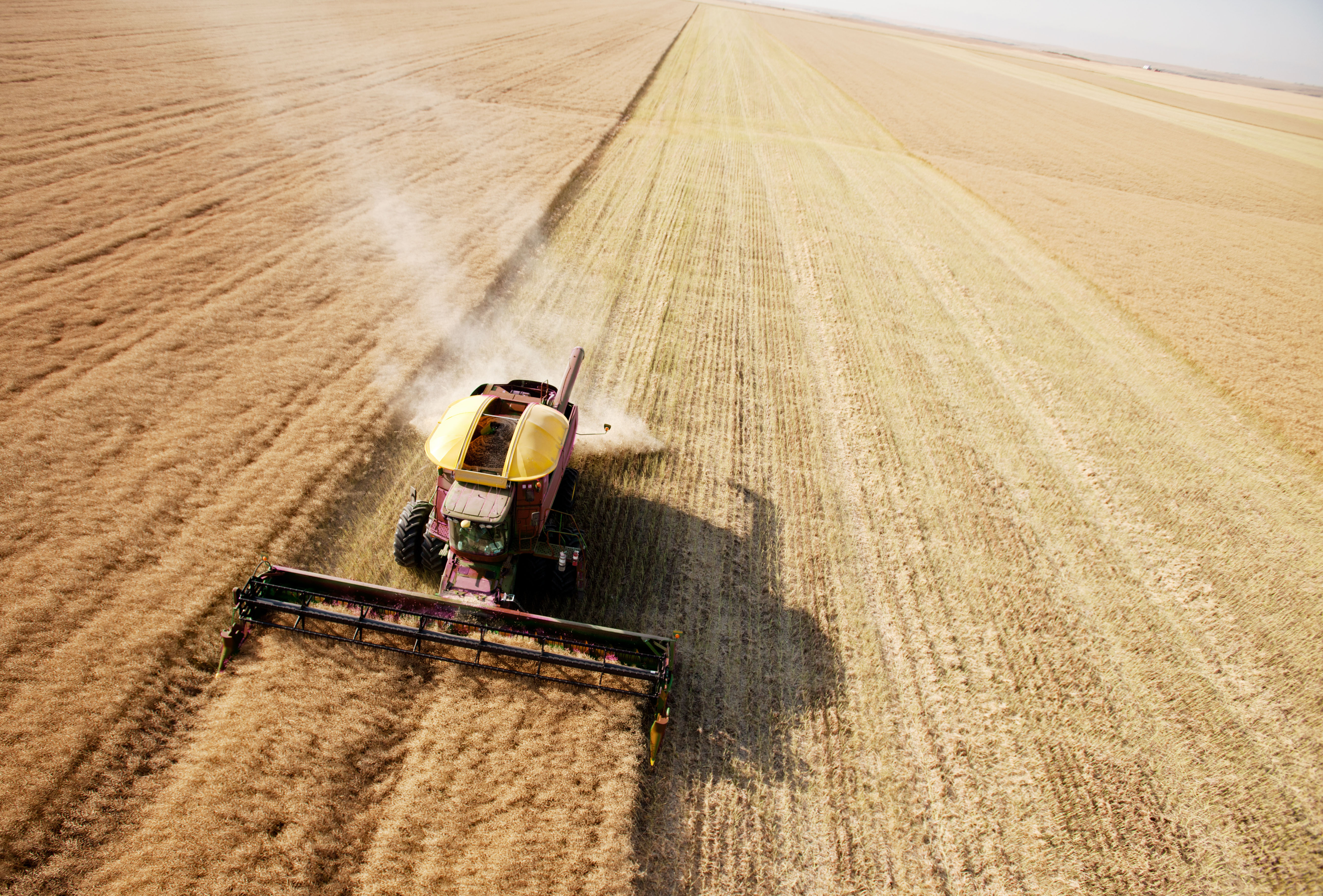 Farming in developed countries