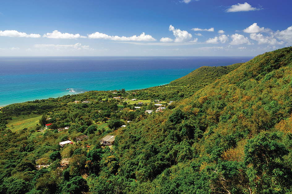 Coastal Valleys of Puerto Rico