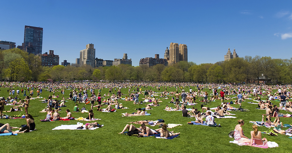 Central Park, New York City