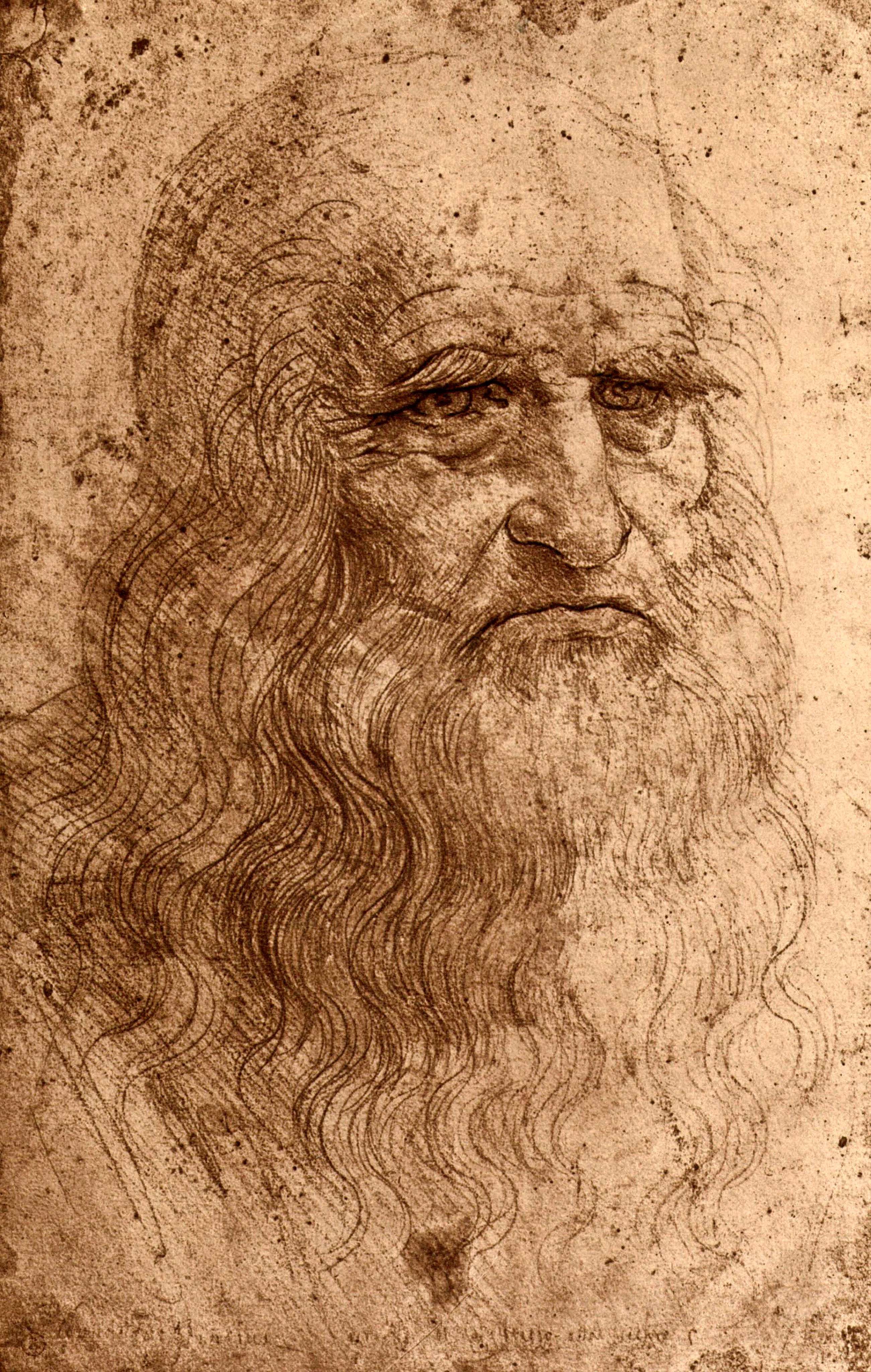 Self-portrait by Leonardo da Vinci