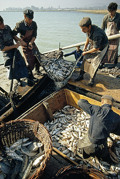 Fishermen in Hungary