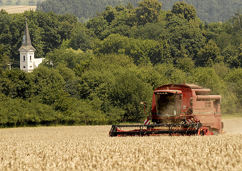 Grain harvest in Slovakia