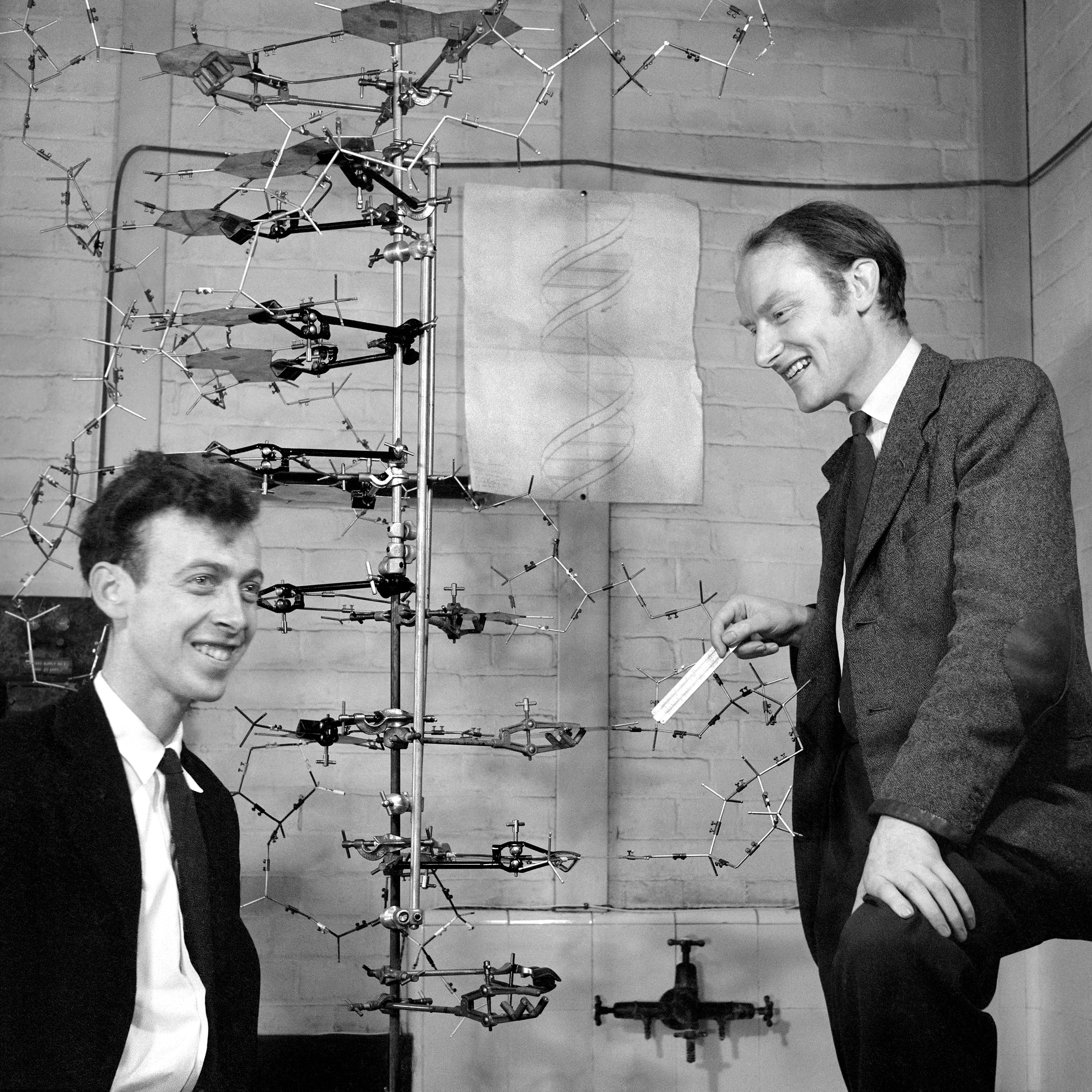 James Watson (left) and Francis Crick (right) with DNA model