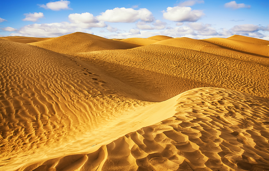 Dunes in the Sahara