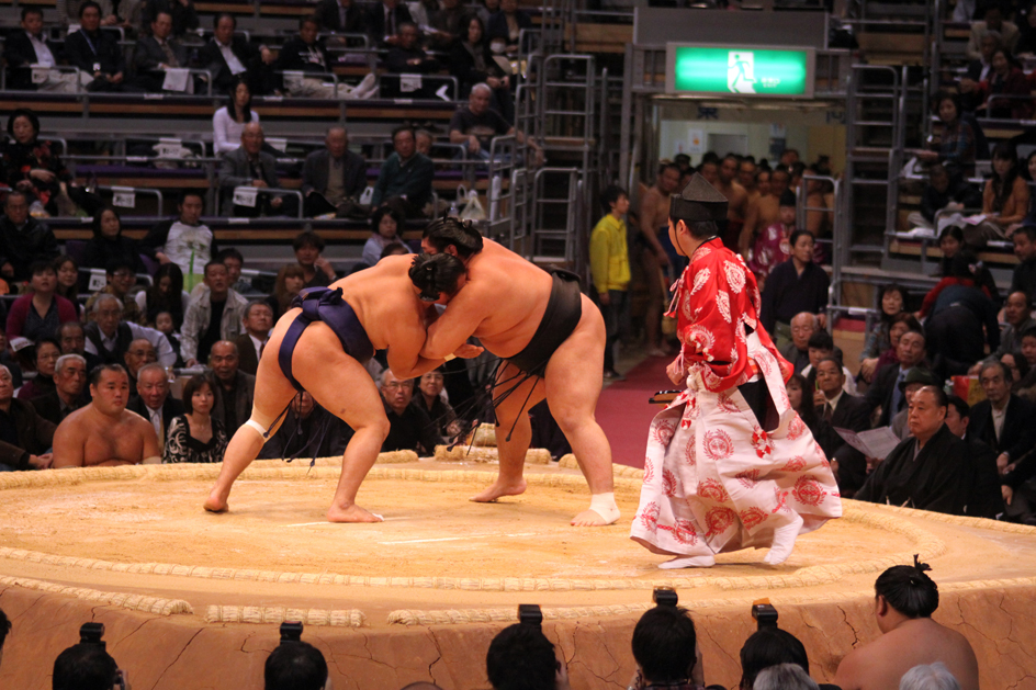 Sumo wrestlers