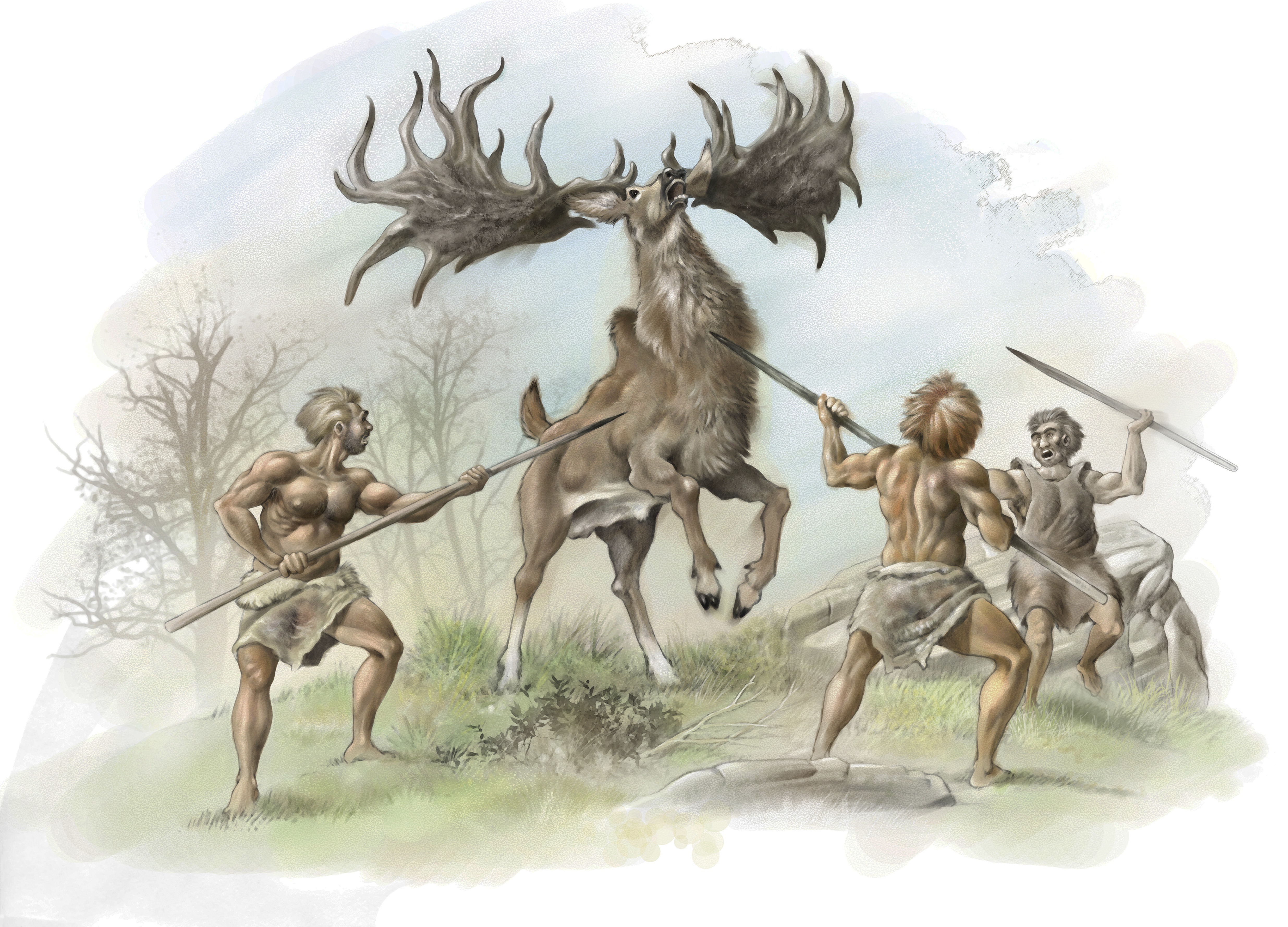 Prehistoric people hunting Irish elk