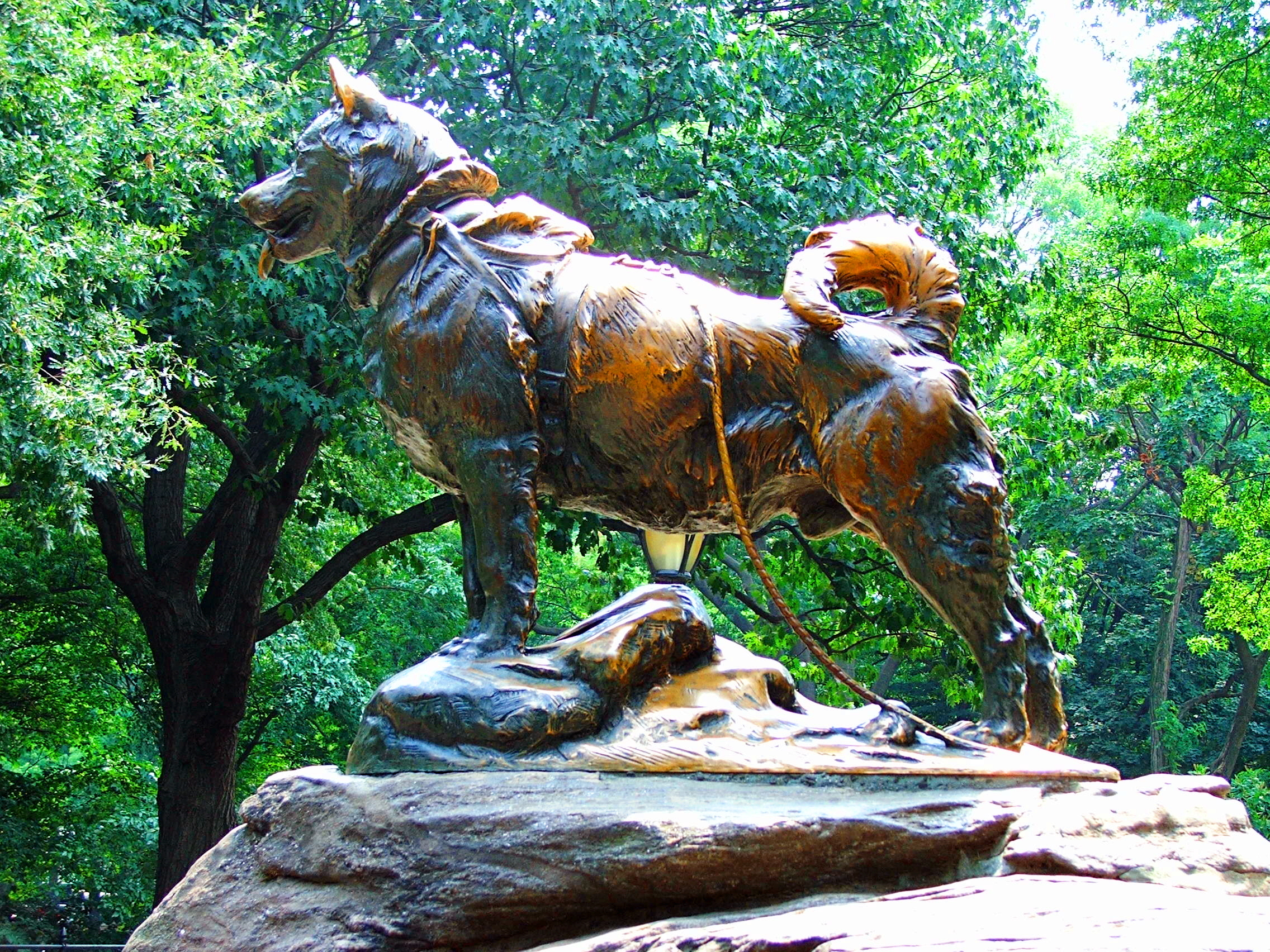 Statue of the sled dog Balto in New York City's Central Park