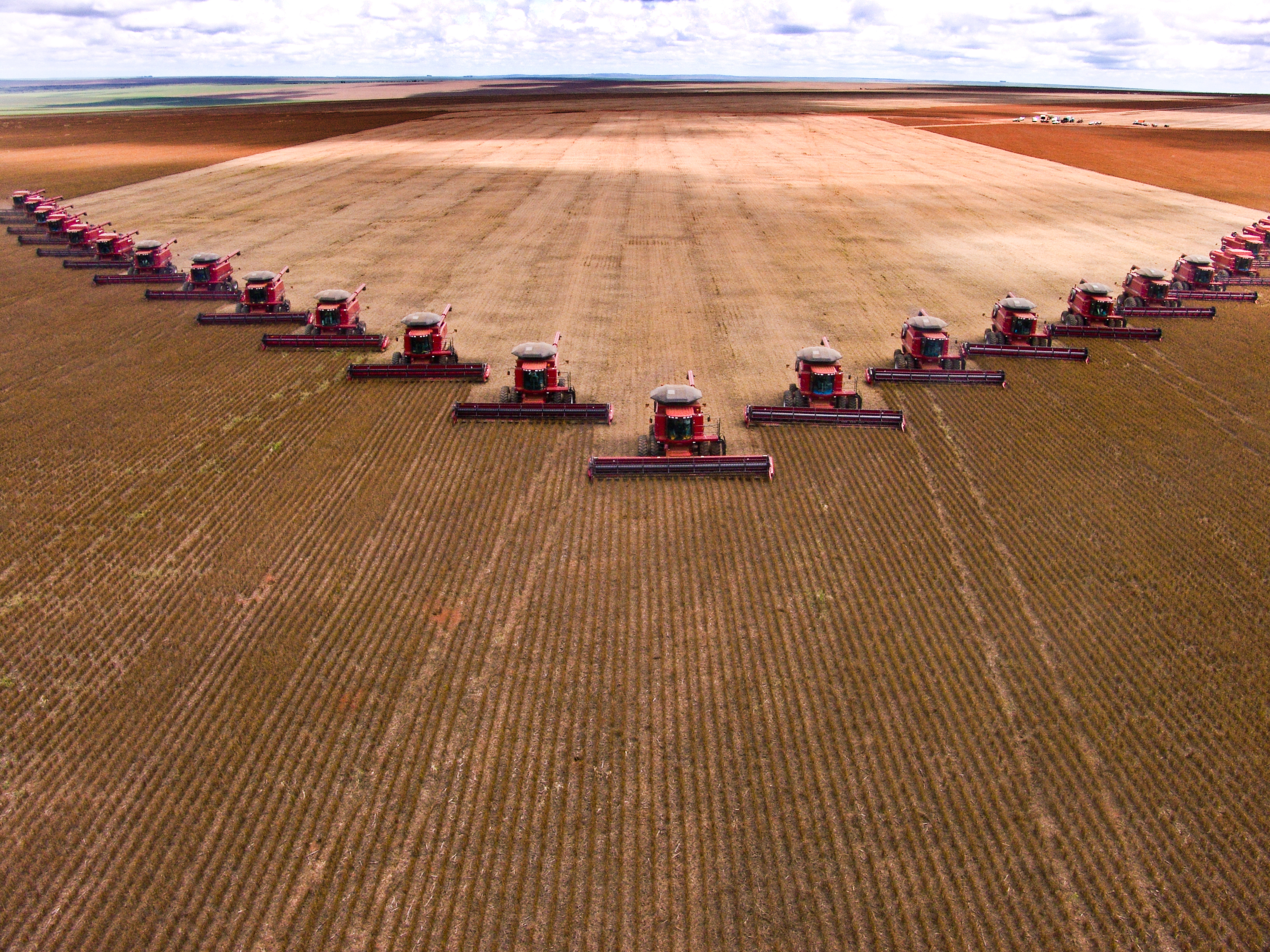 A fleet of machines called combines harvesting soybeans in Brazil