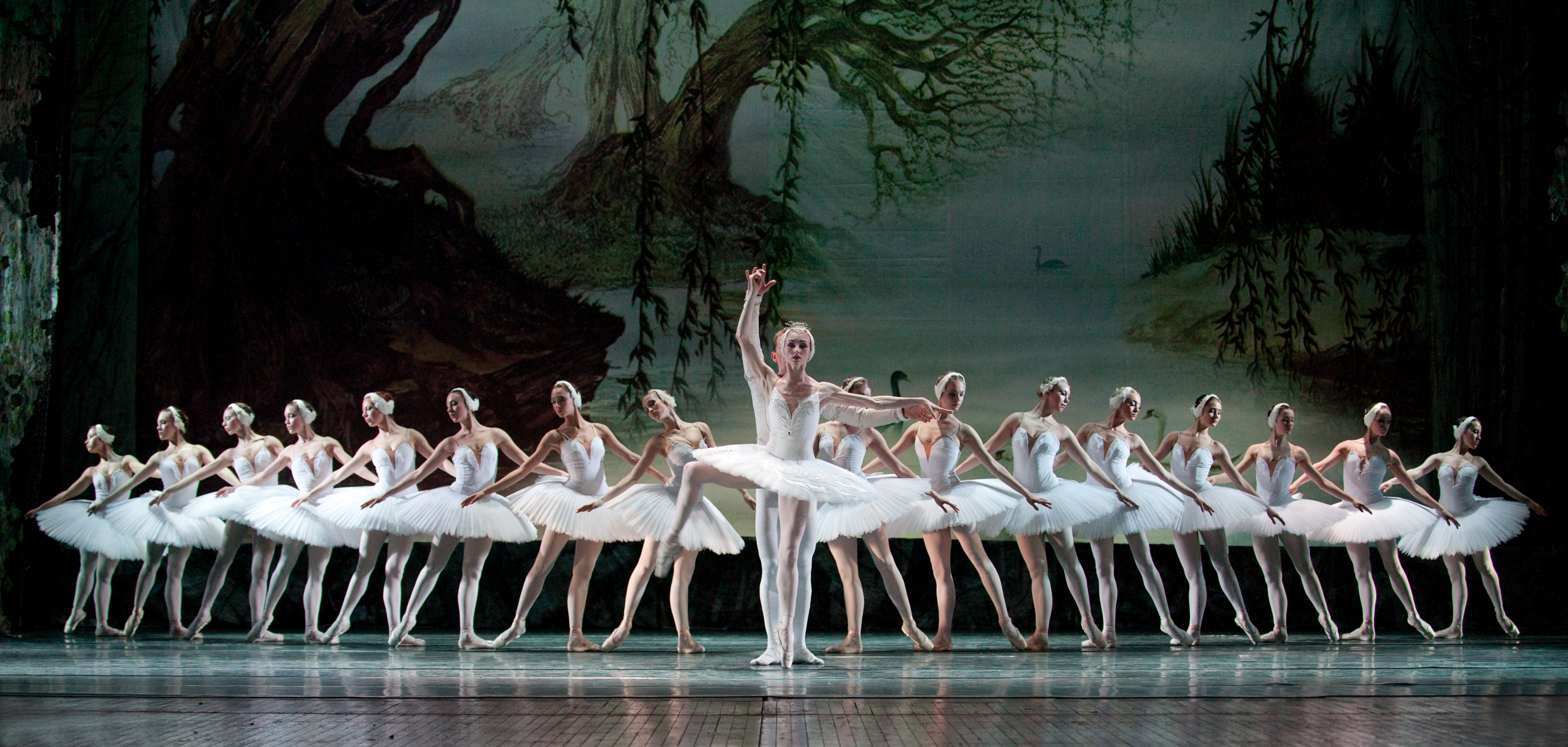 Tchaikovsky's Swan Lake