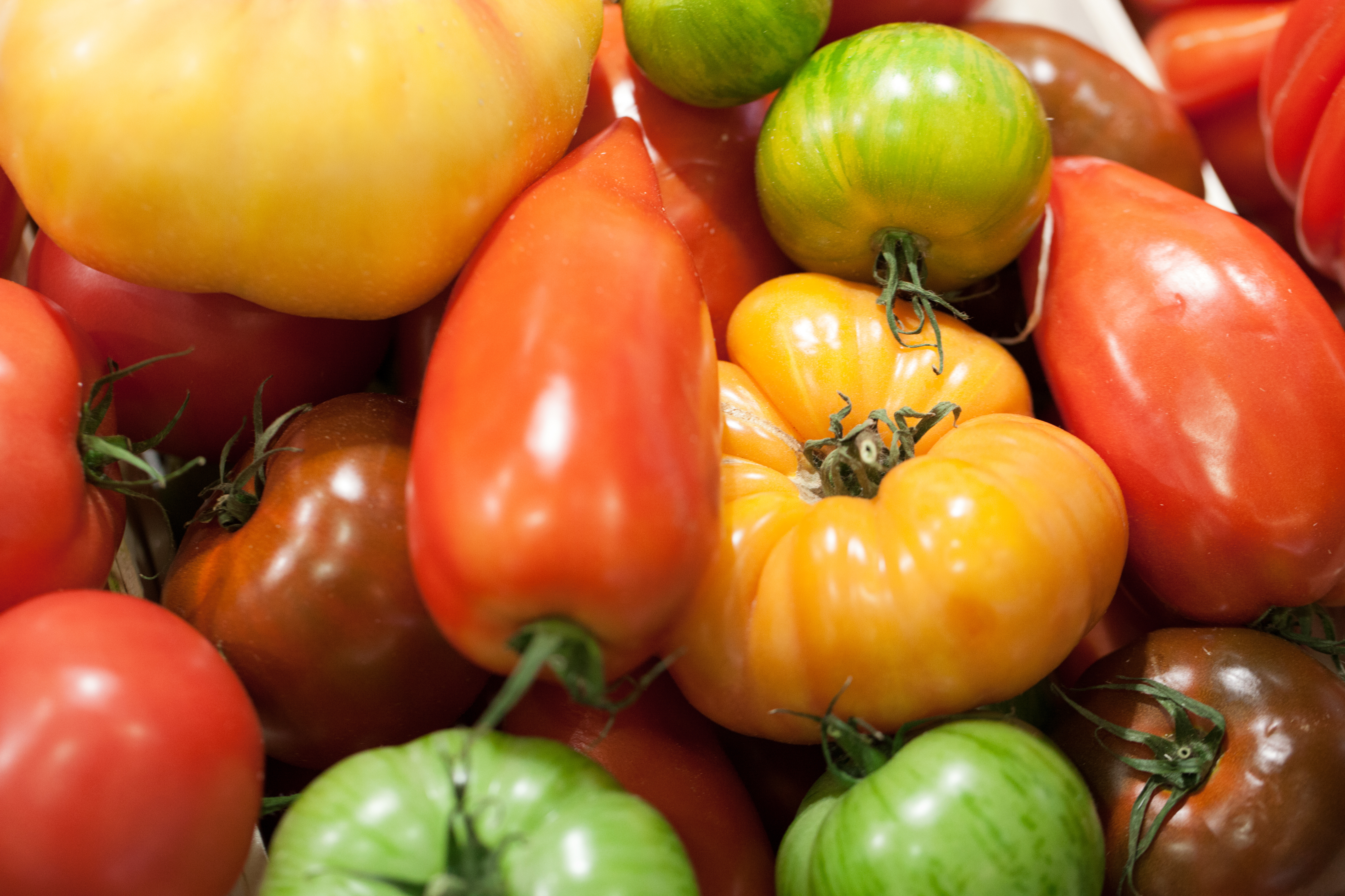 Heirloom tomatoes