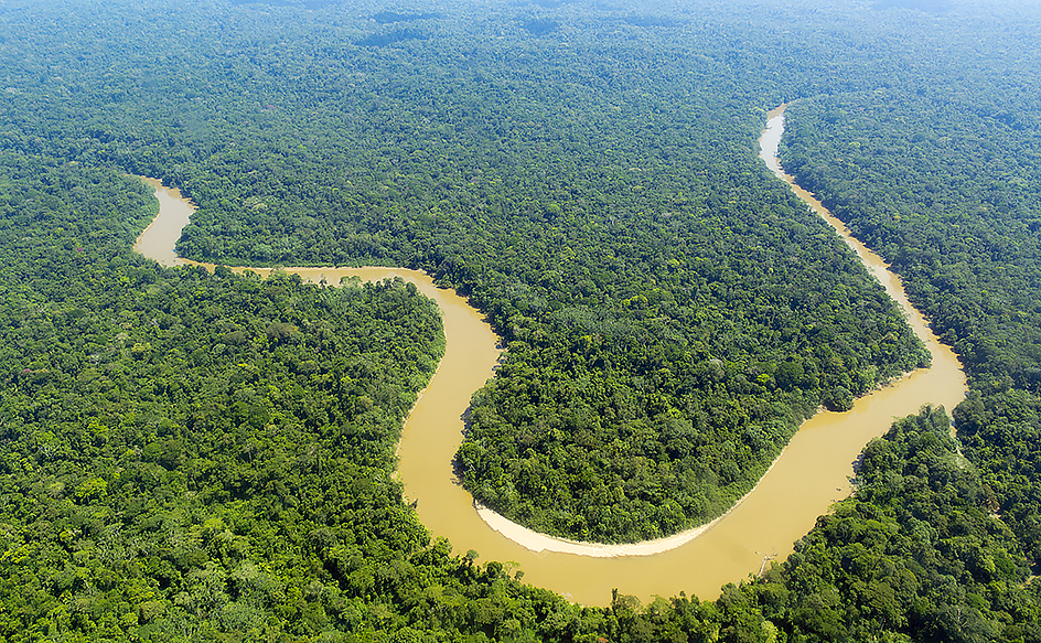 Cononaco River in Ecuador rain forest