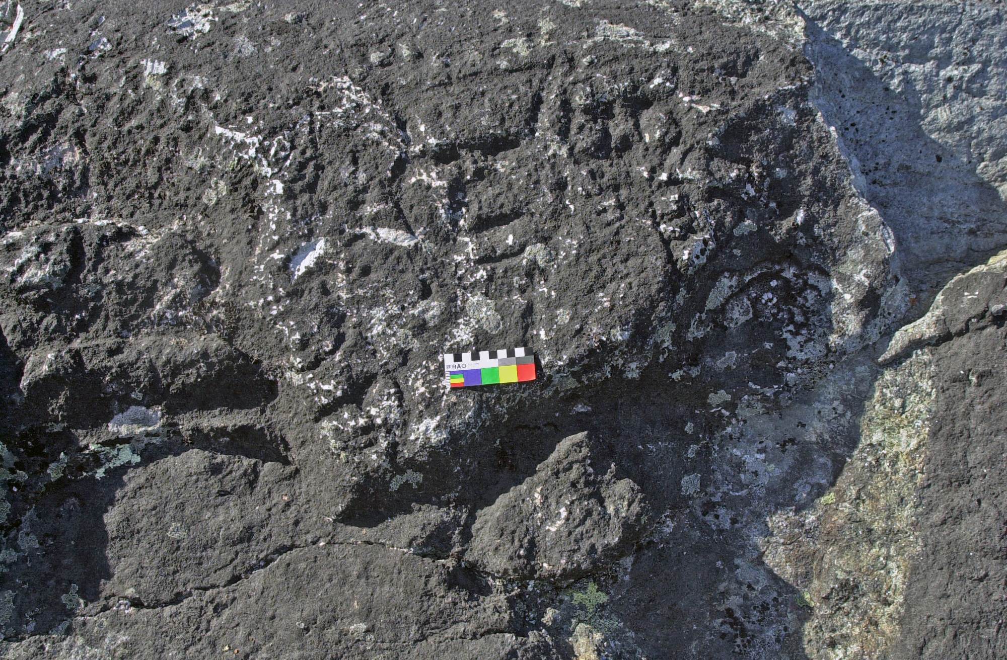 Petroglyphs made by the prehistoric Dorset culture in the Canadian Arctic