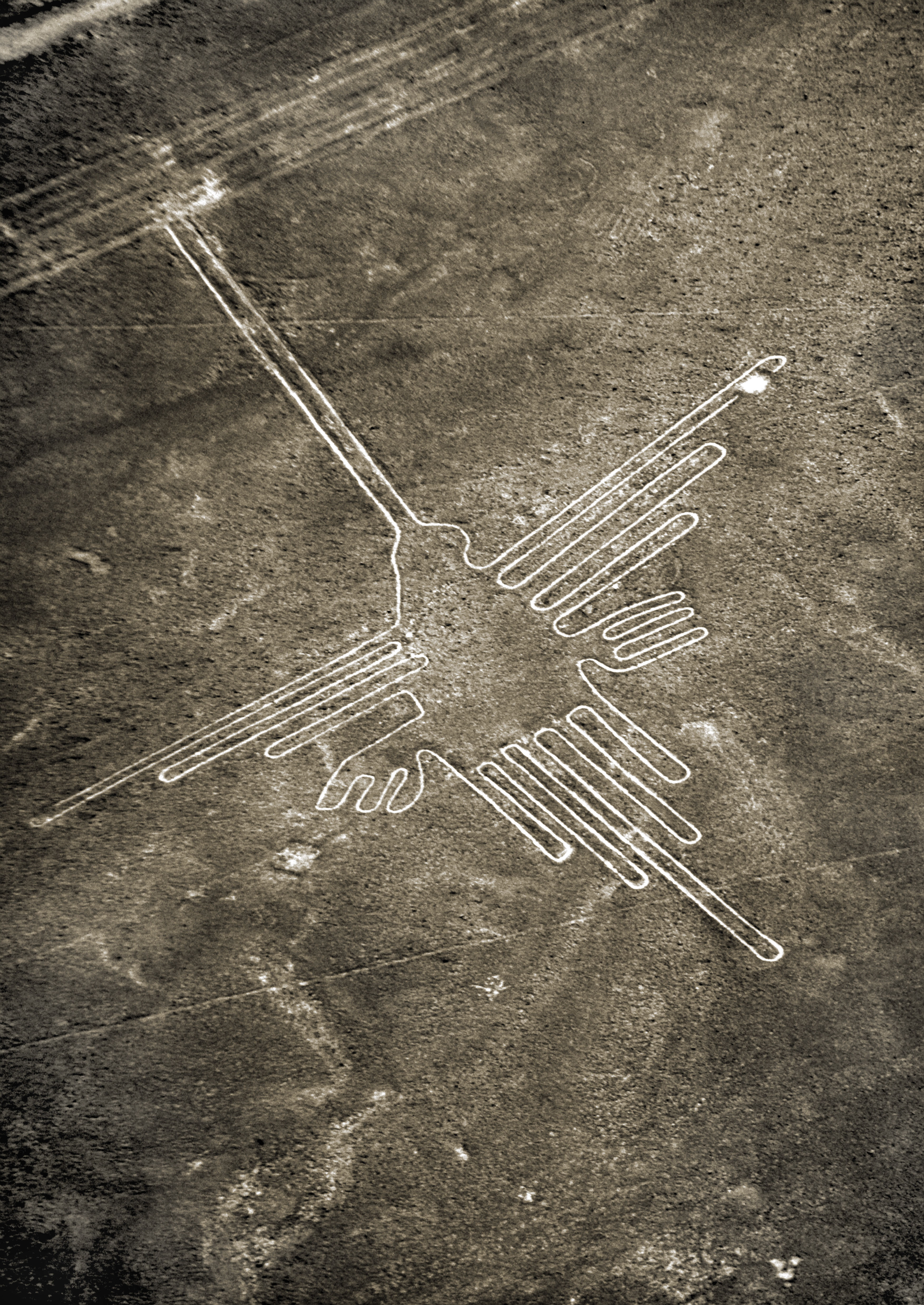 Nazca lines