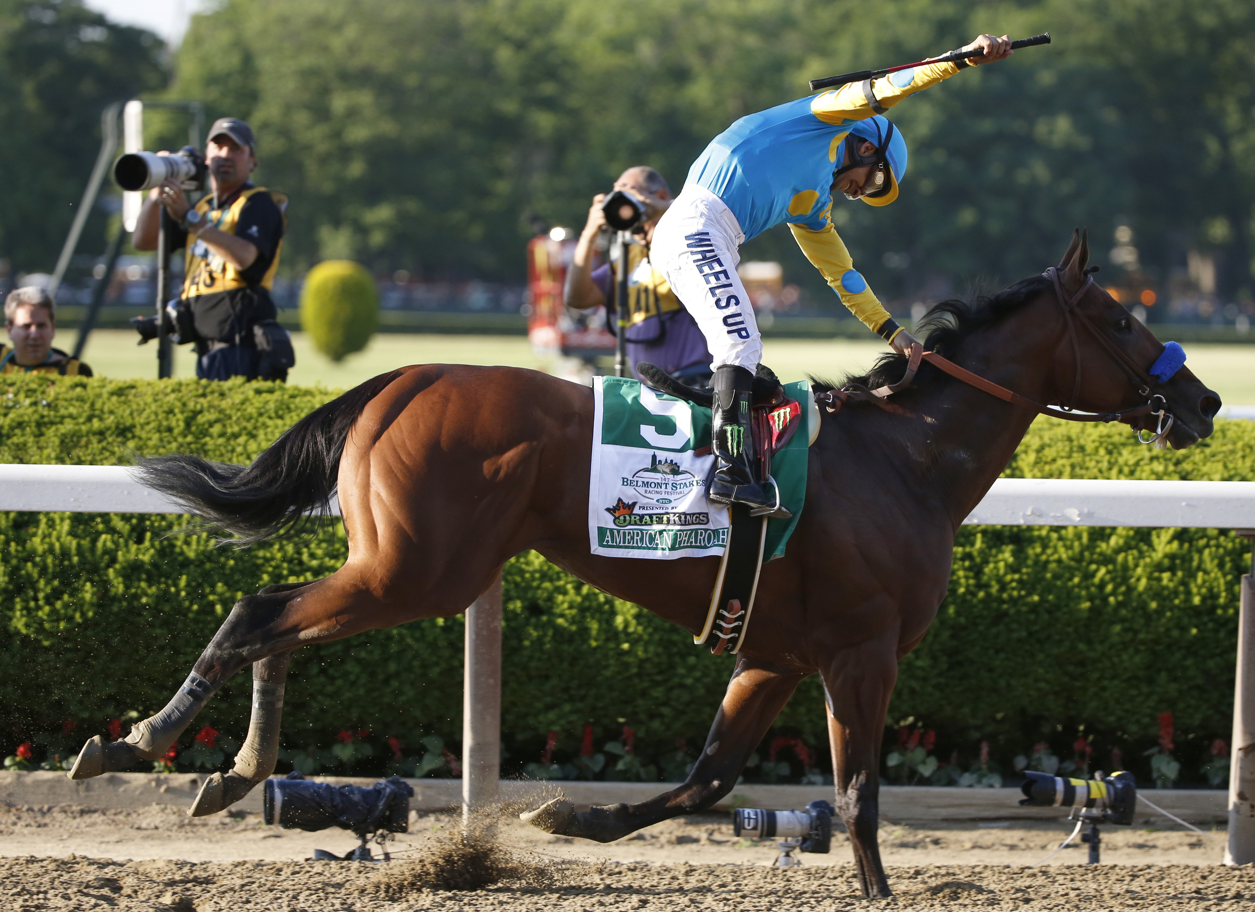 Race horse American Pharoah