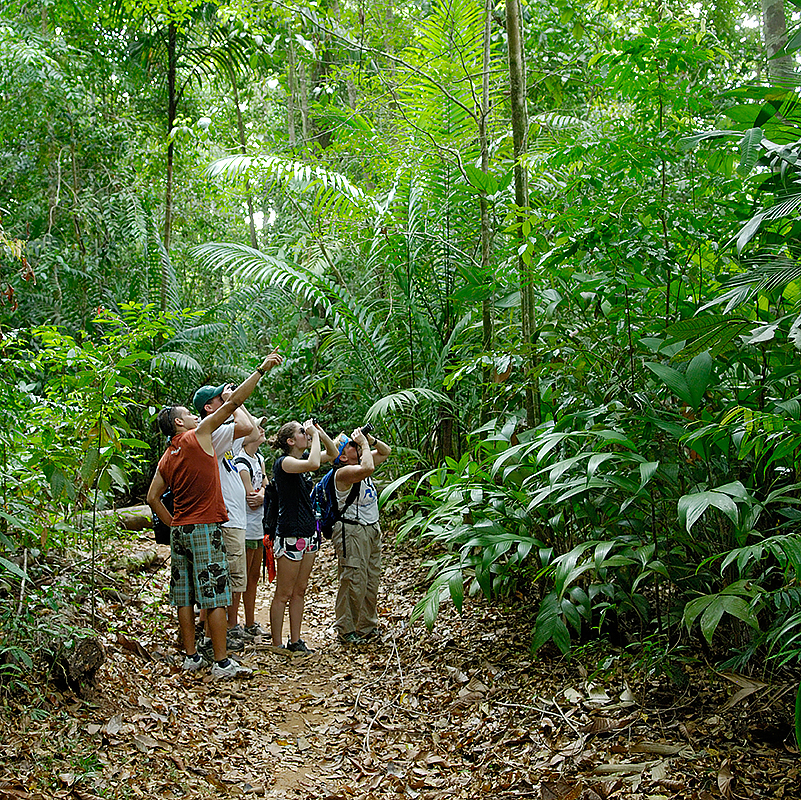 Ecotourists on a walking tour of the rain forest in Costa Rica