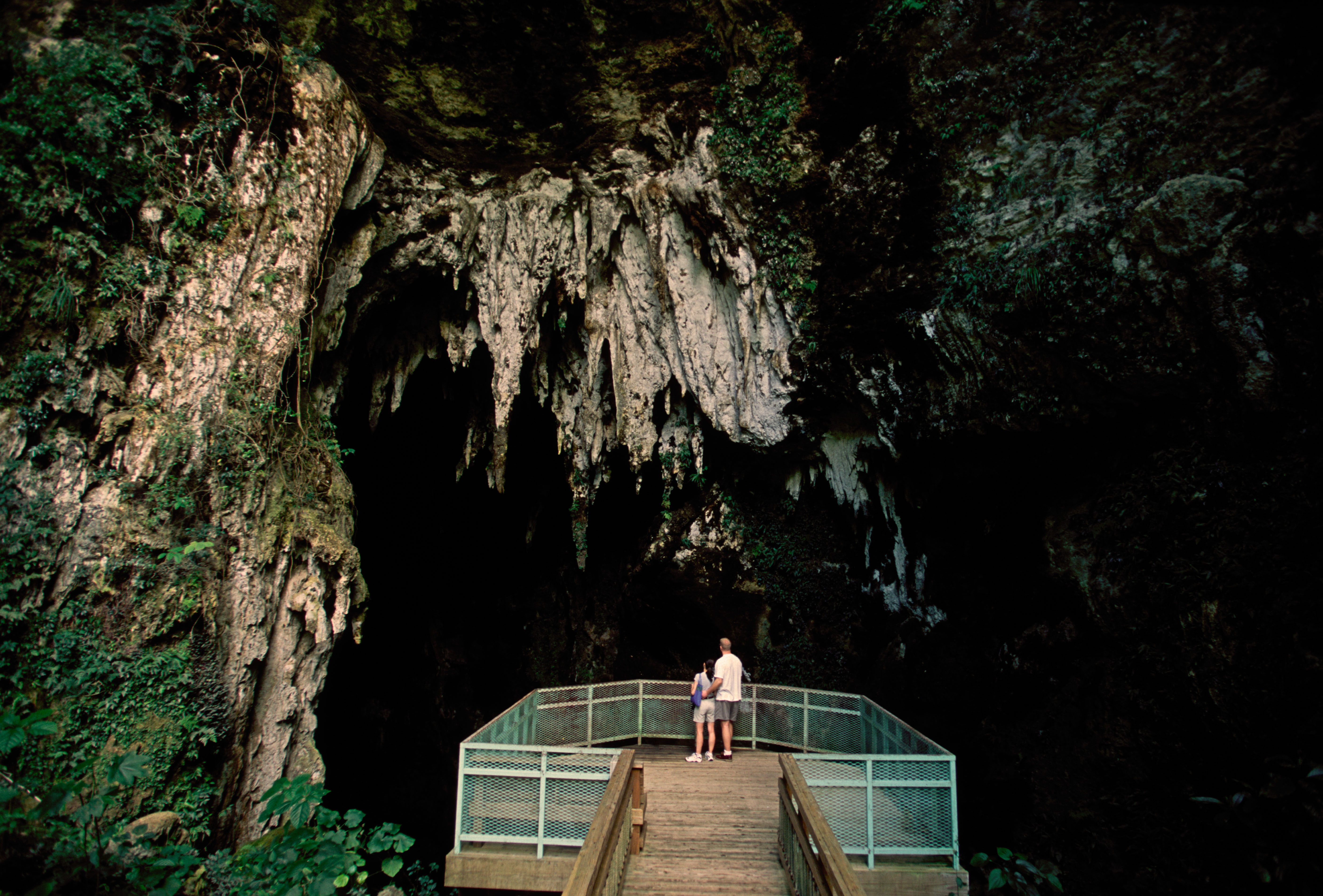 Rio Camuy Cave Park, Puerto Rico