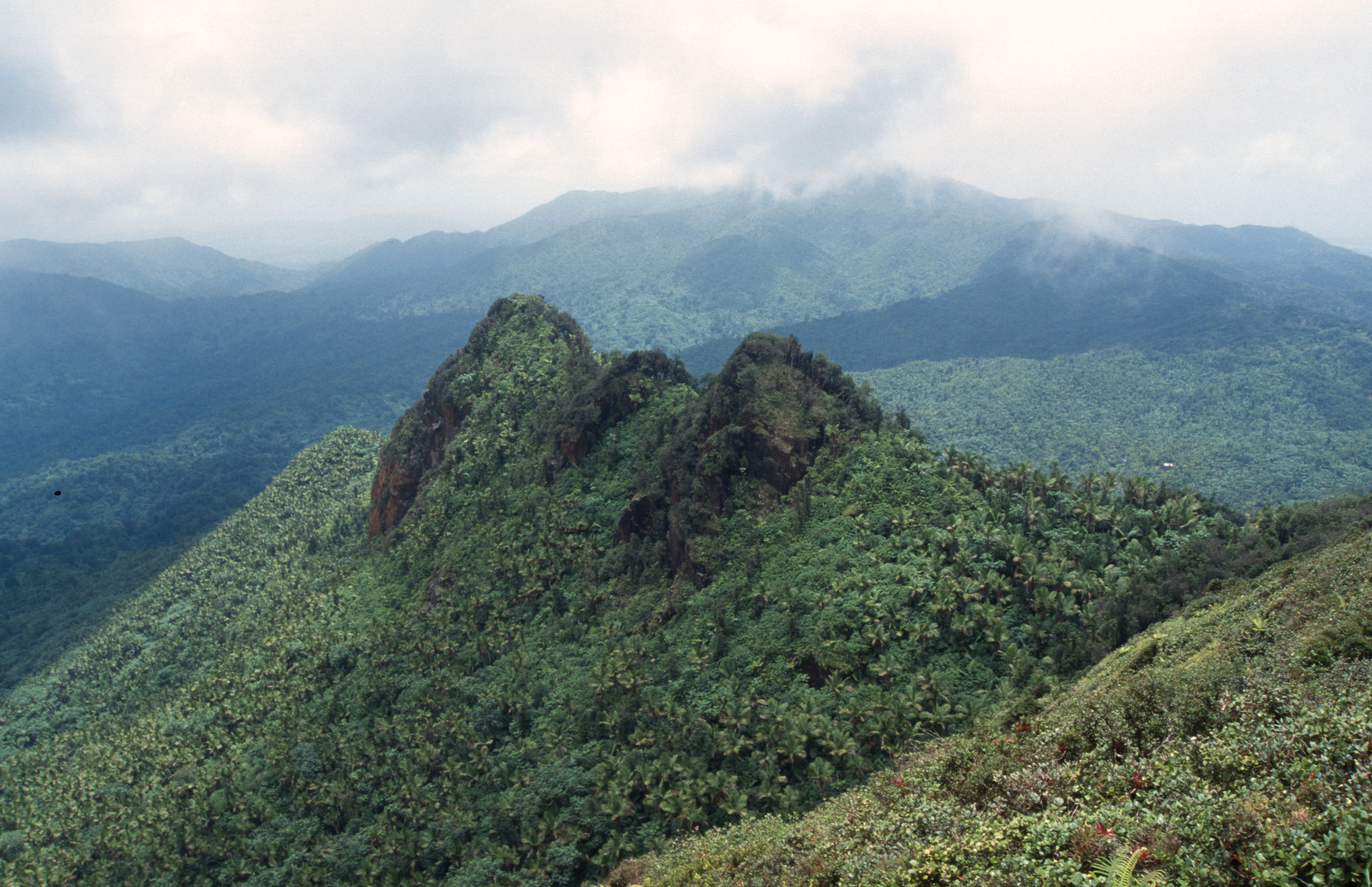 Cordillera Central range, Puerto Rico