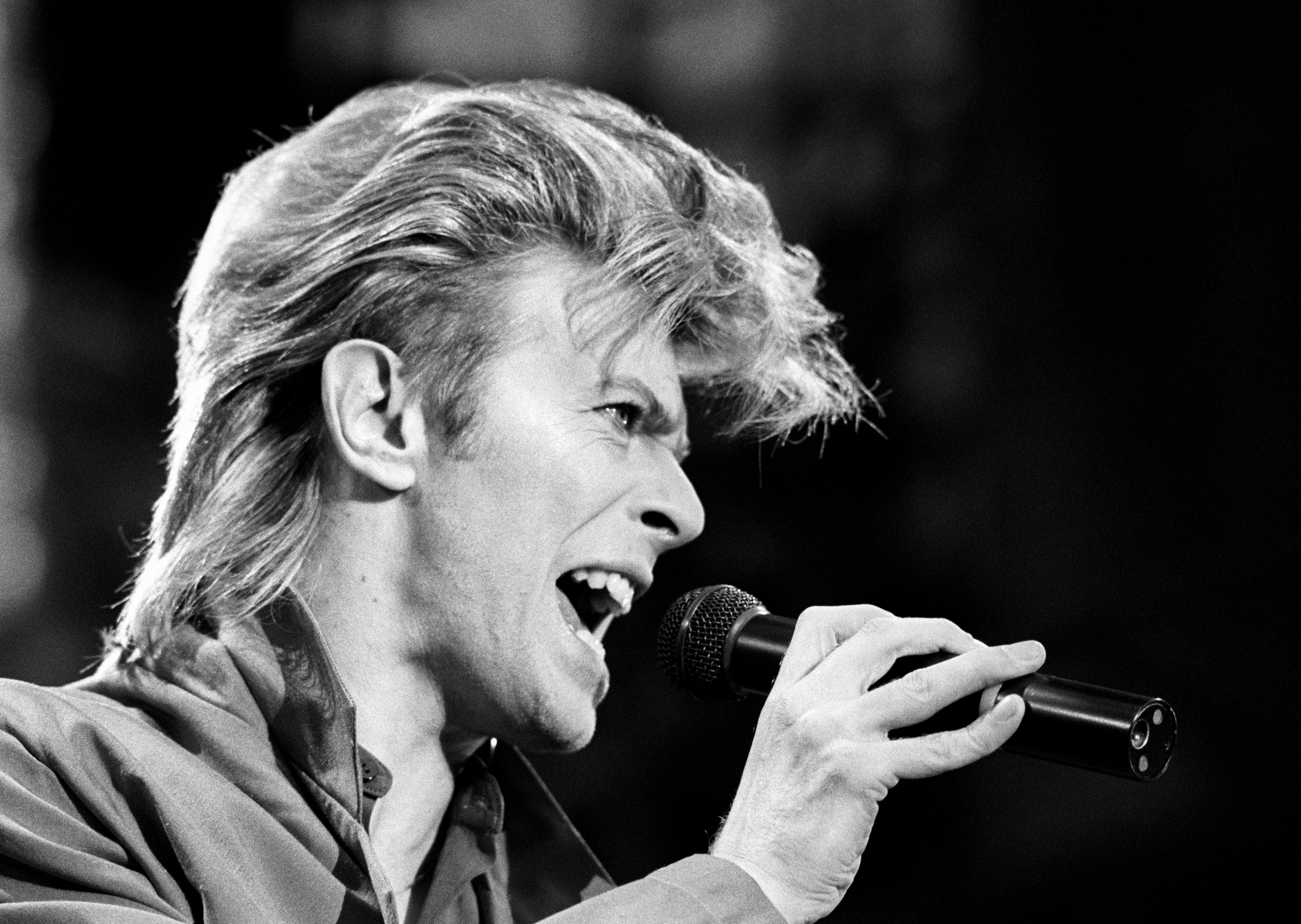 British rock musician David Bowie