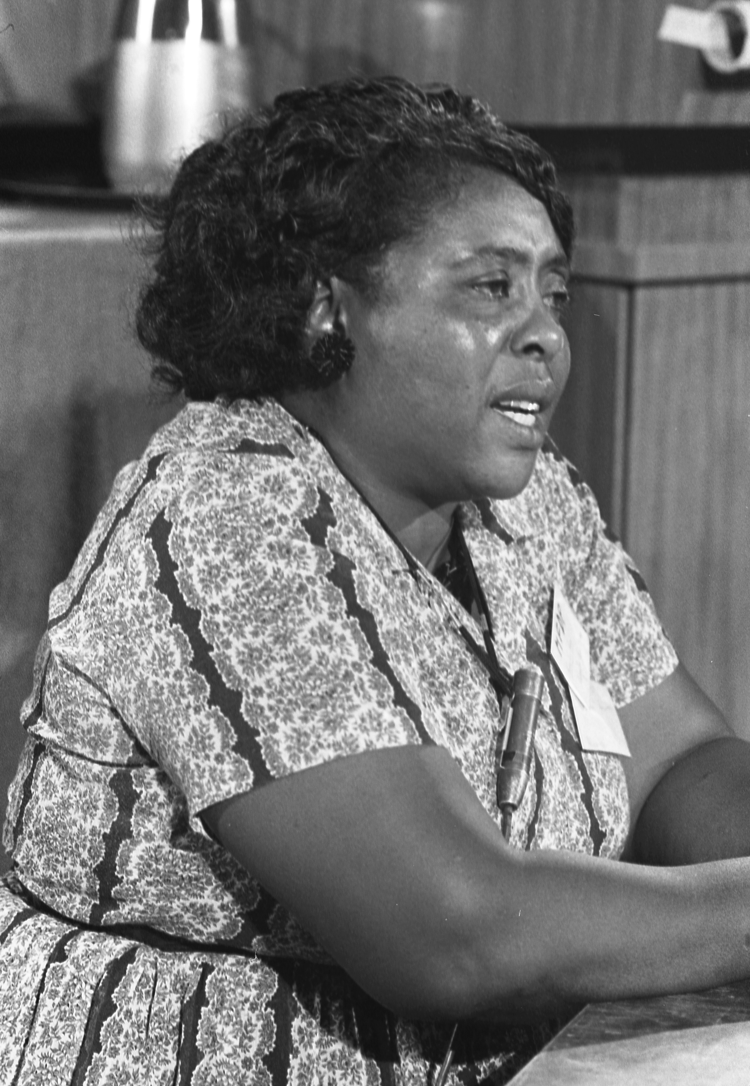 Fannie Lou Hamer testifies before 1964 Democratic National Convention