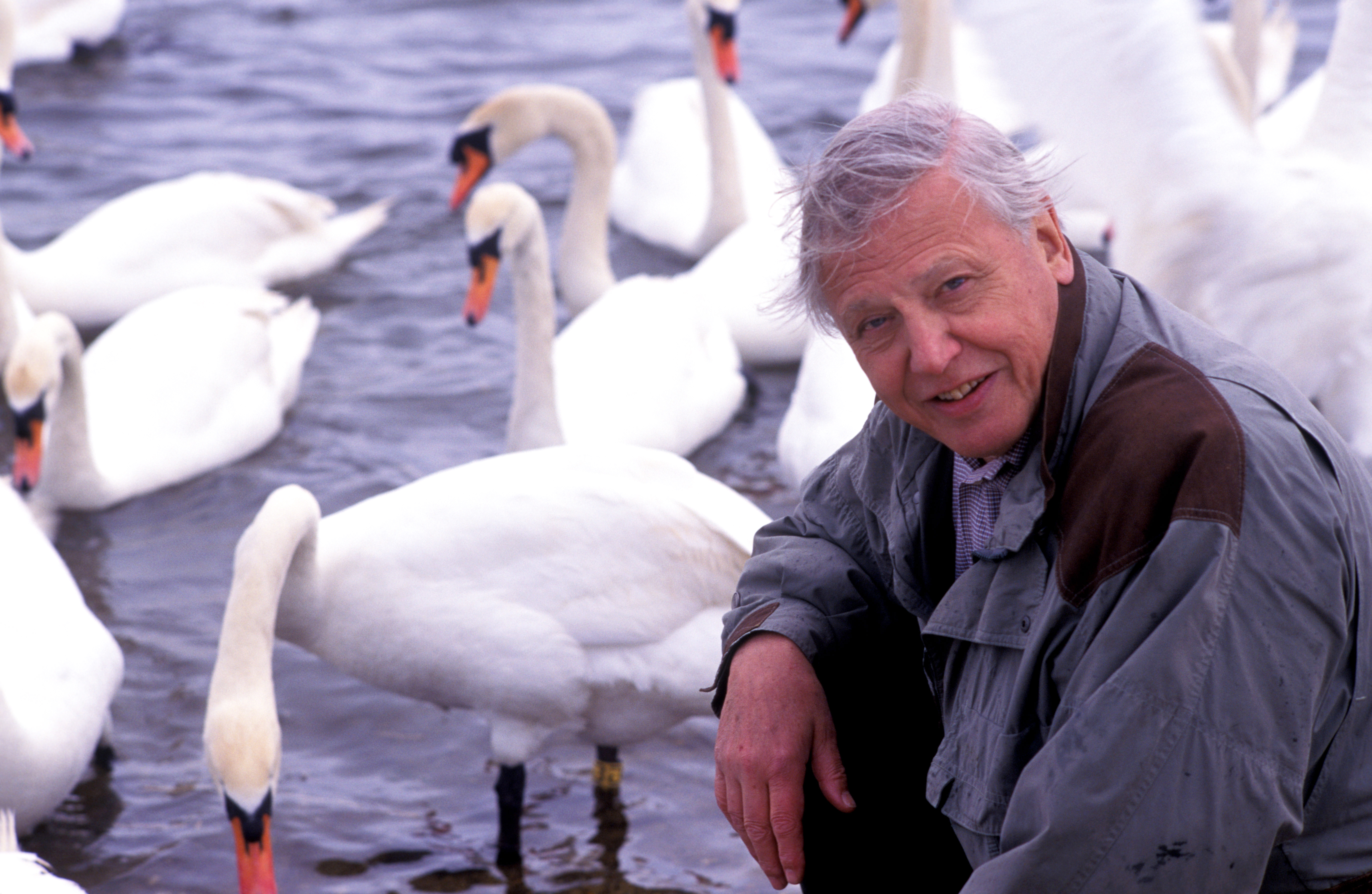 British naturalist David Attenborough