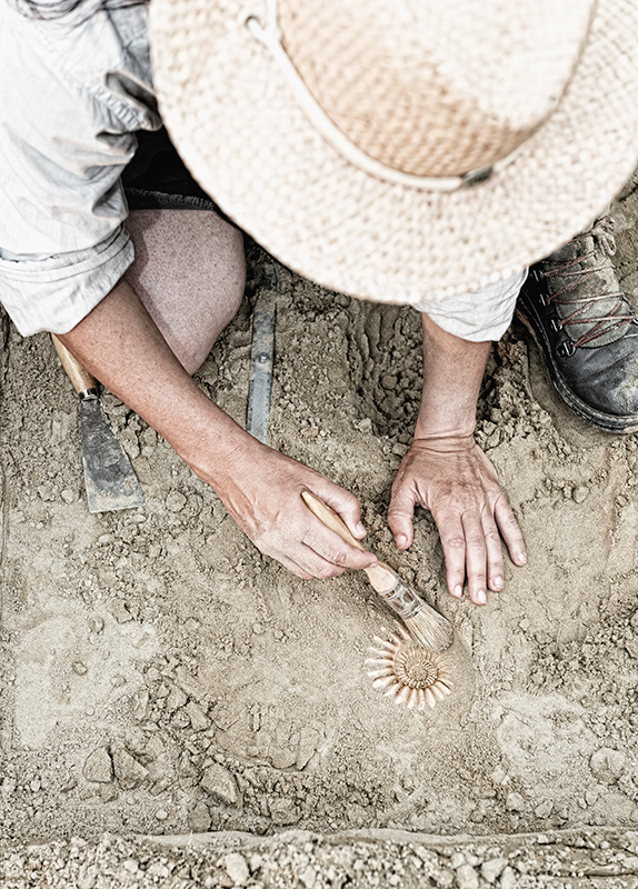 Paleontologist uncovering a fossil