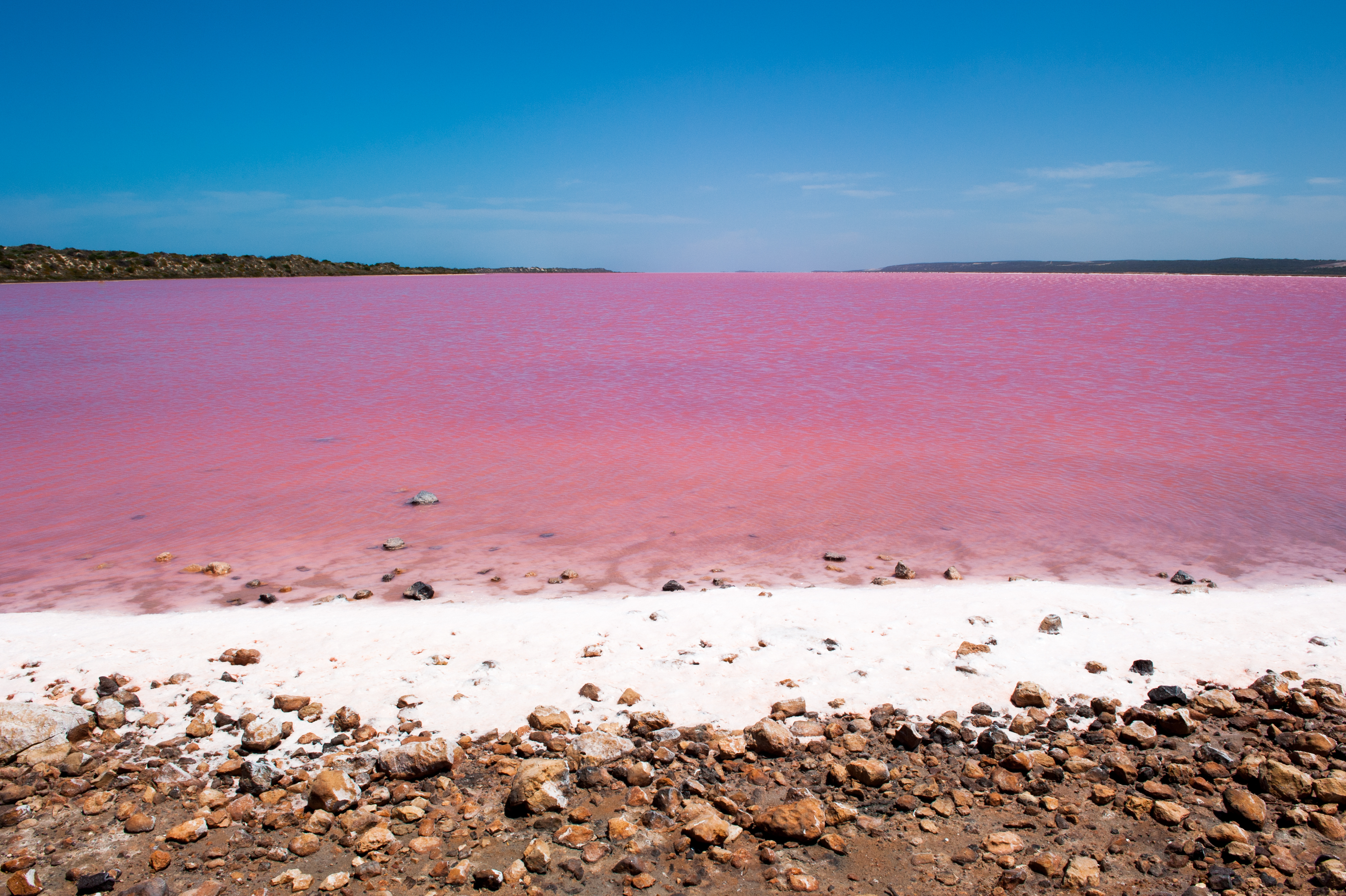 Pink lake in Western Australia