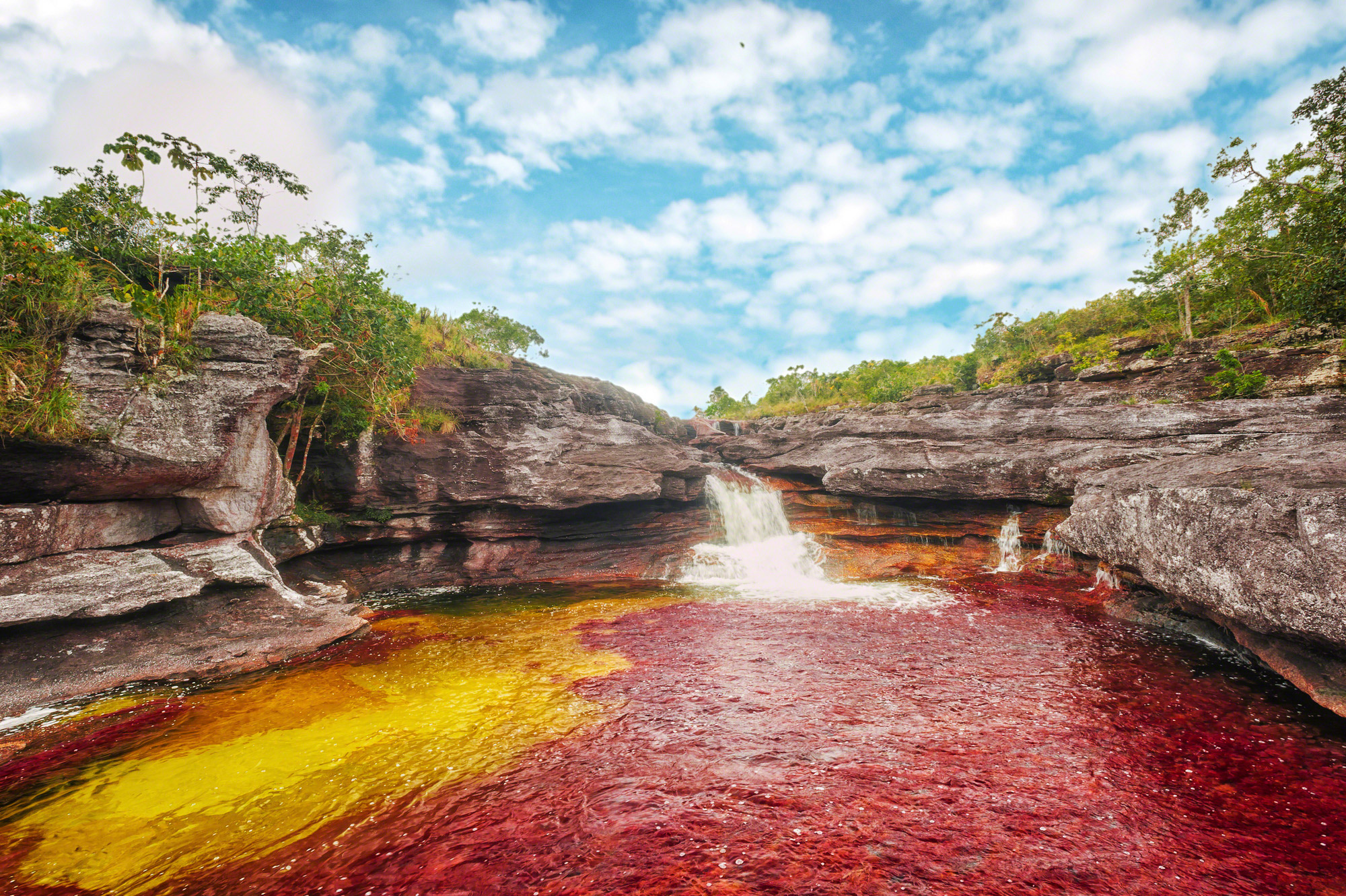 Caño Cristales in south-central Colombia