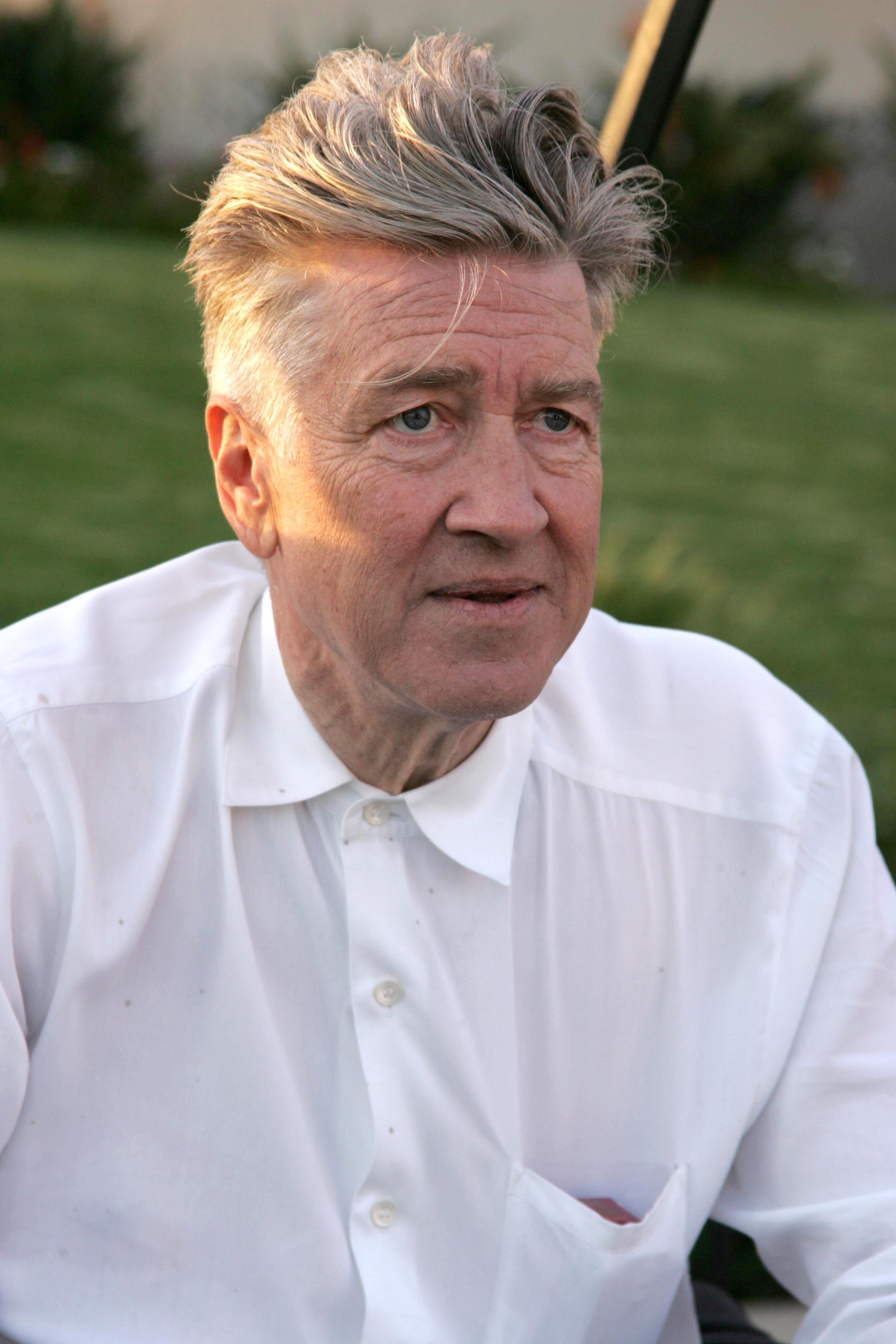 American director and screenwriter David Lynch